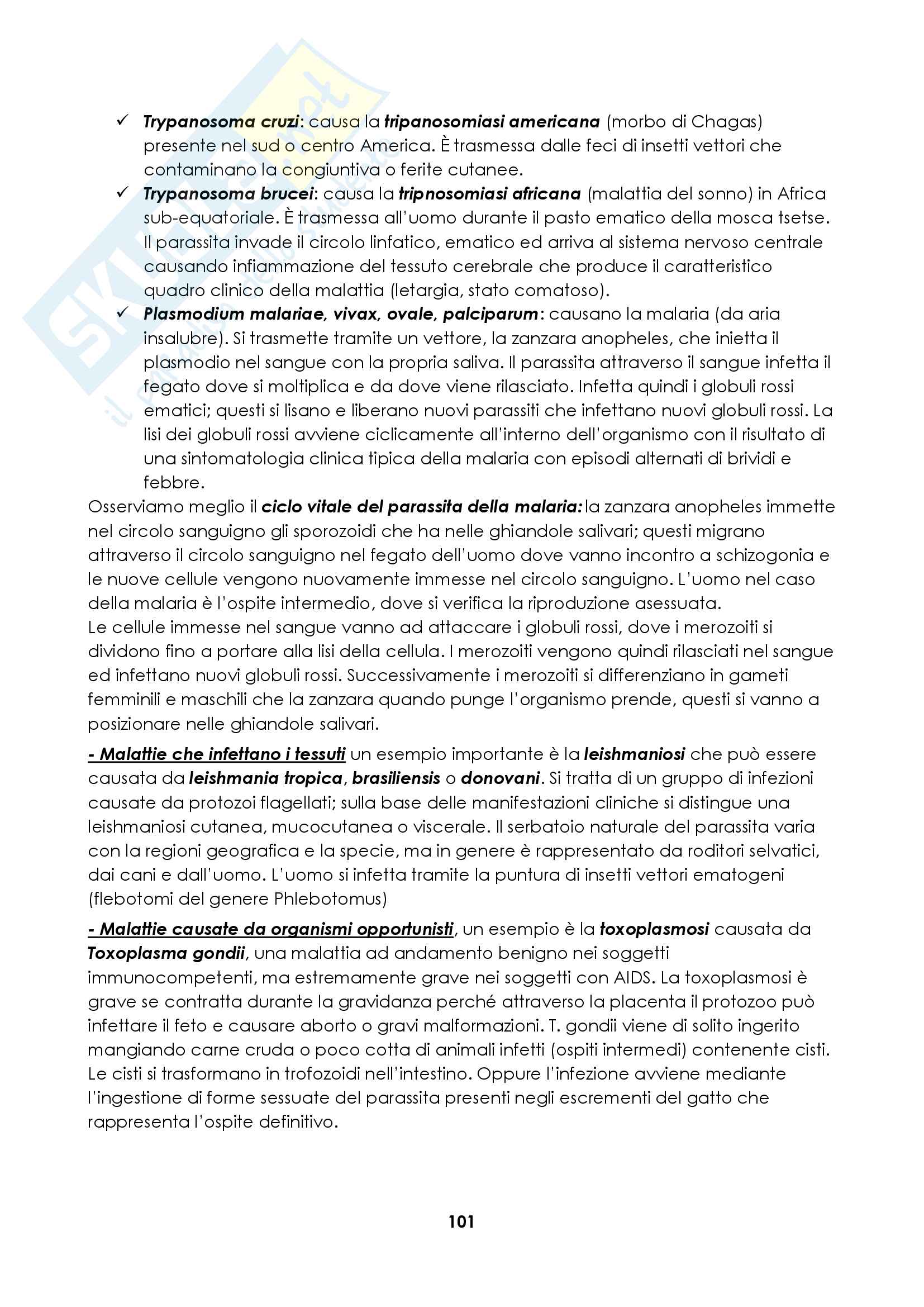 Microbiologia Pag. 101