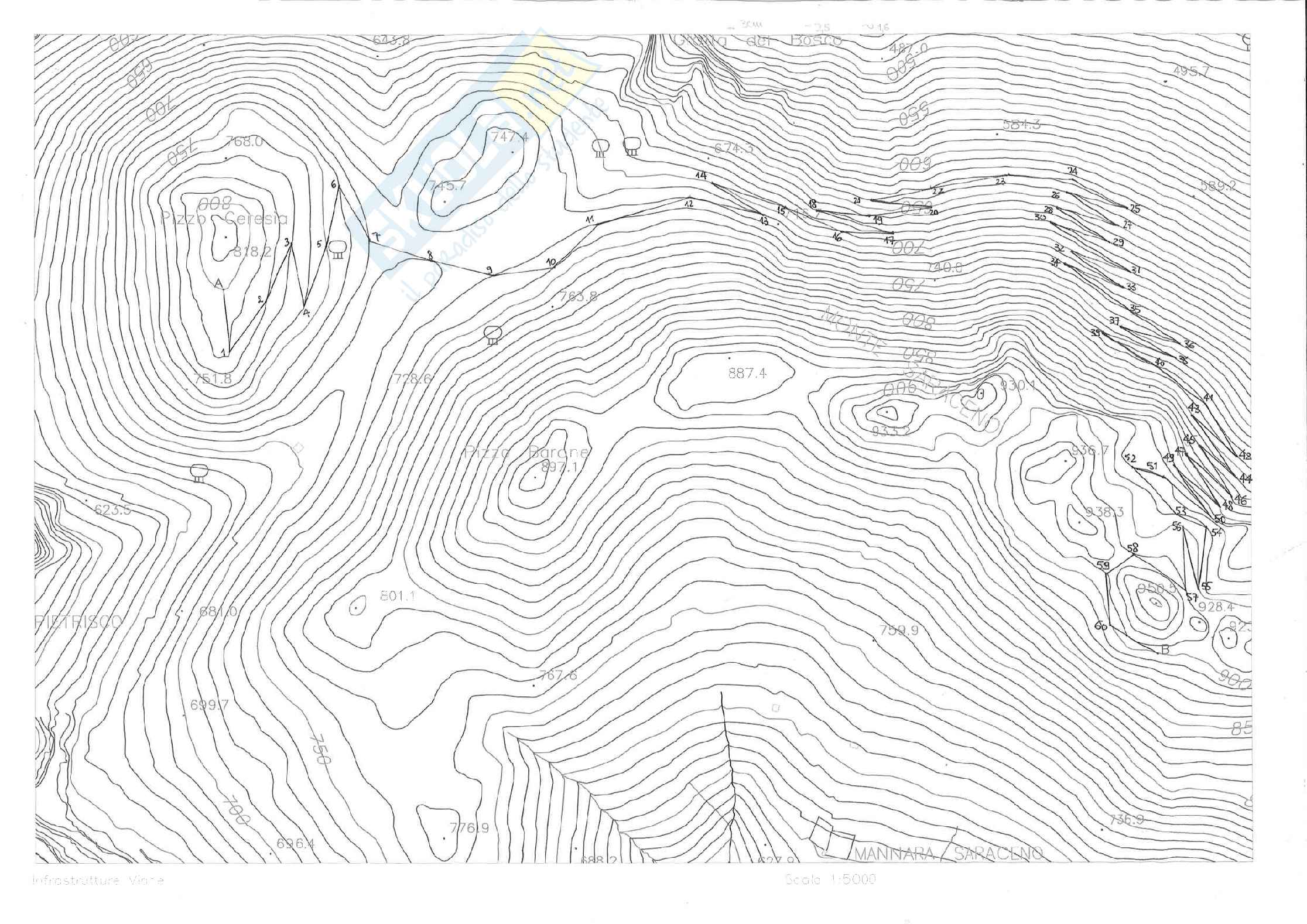 Relazione completa di tutte le esercitazioni di Infrastrutture viarie Pag. 11