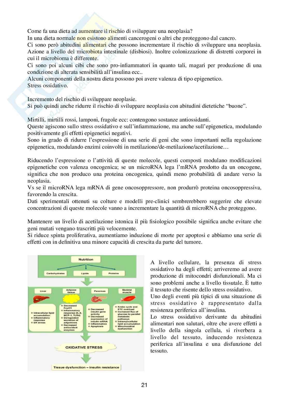 Appunti di Aspetti patologici della nutrizione umana Pag. 21