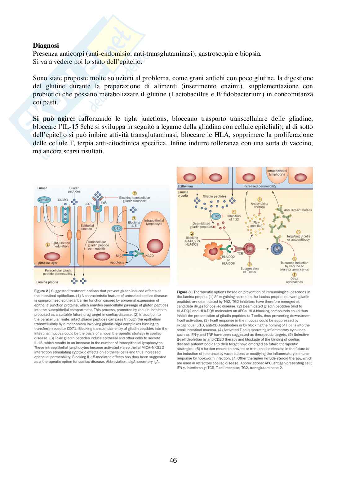 Appunti di Aspetti patologici della nutrizione umana Pag. 46