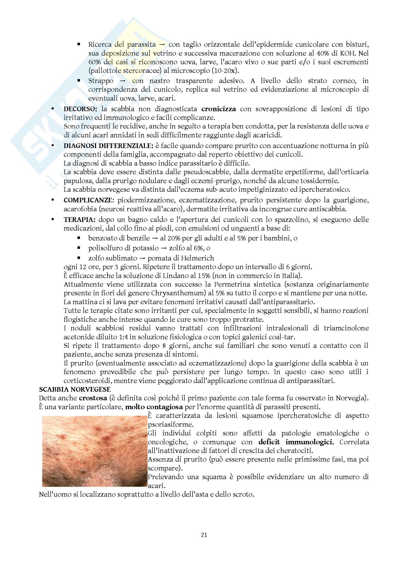 Dermatologia e Venereologia - Appunti Pag. 21