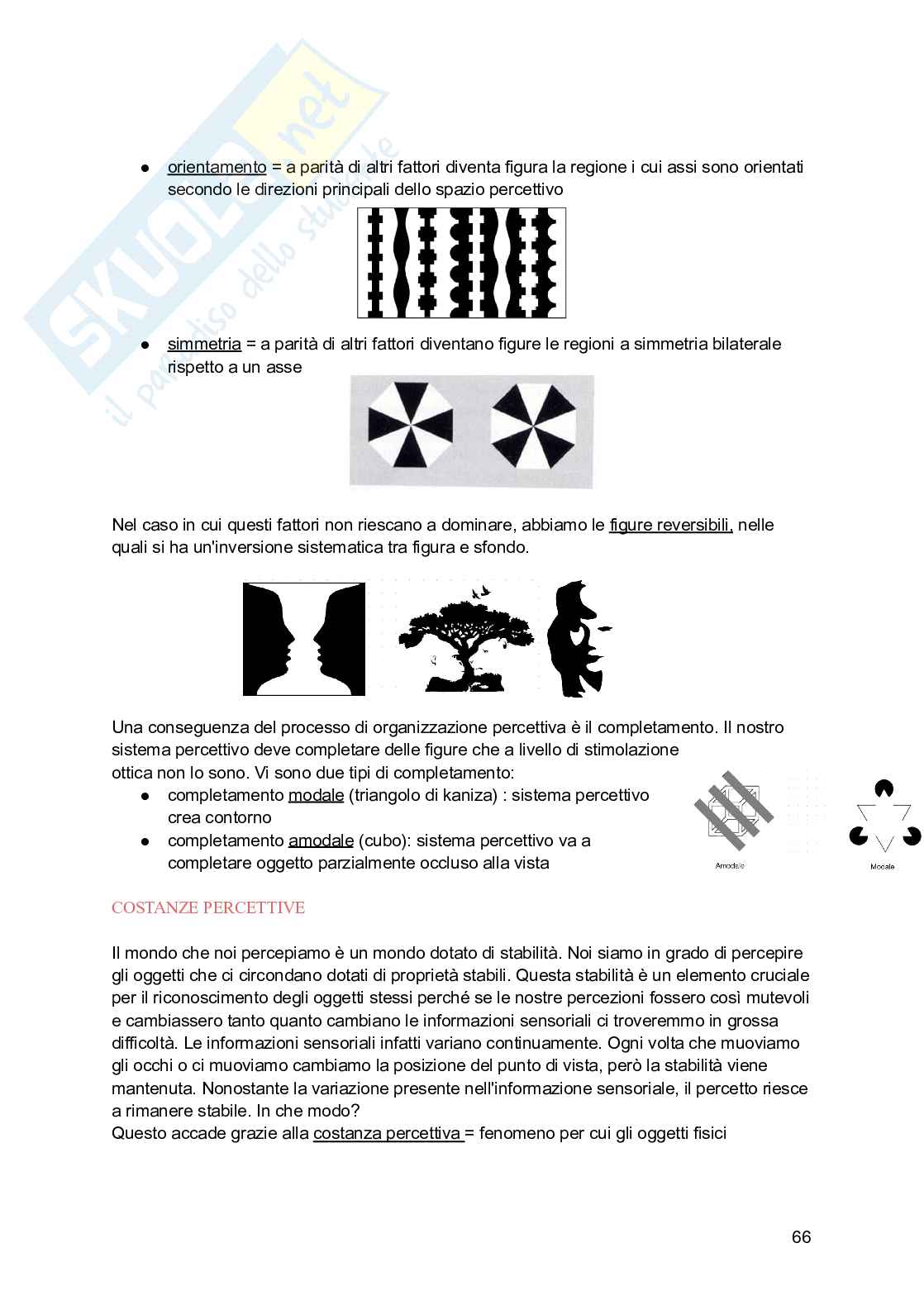 Psicologia generale Pag. 66