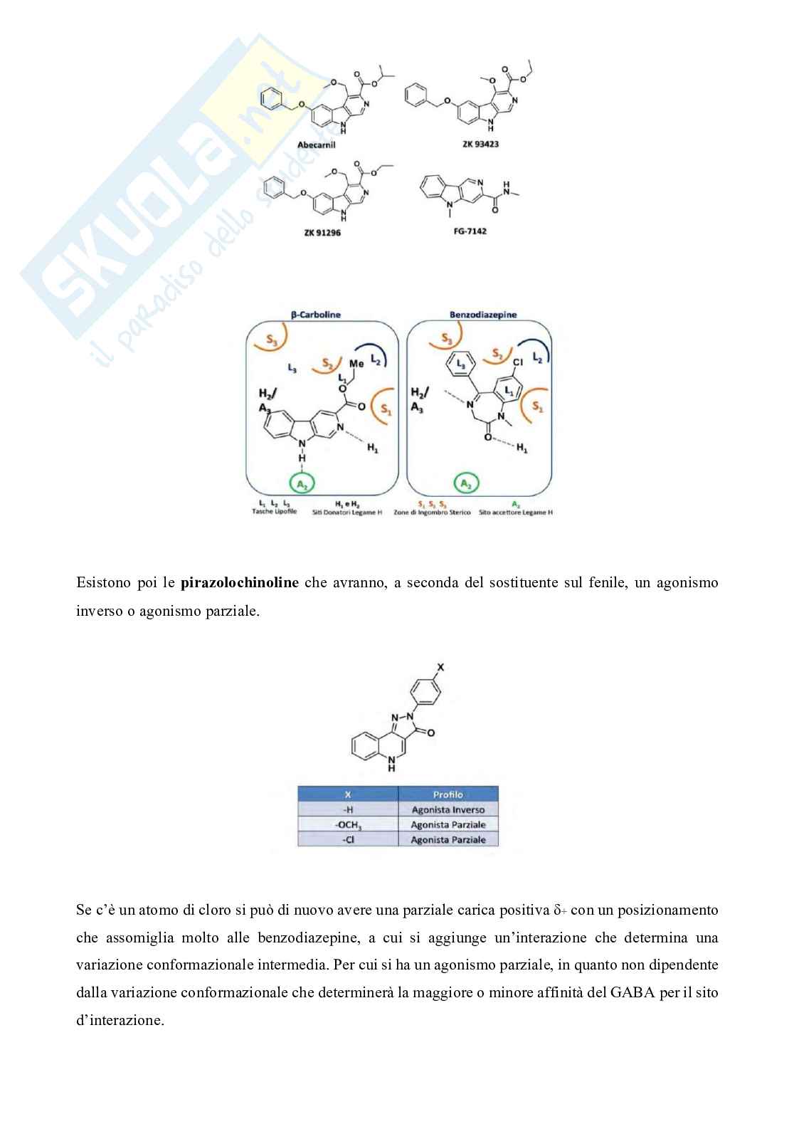 Chimica farmaceutica e tossicologica II Pag. 21