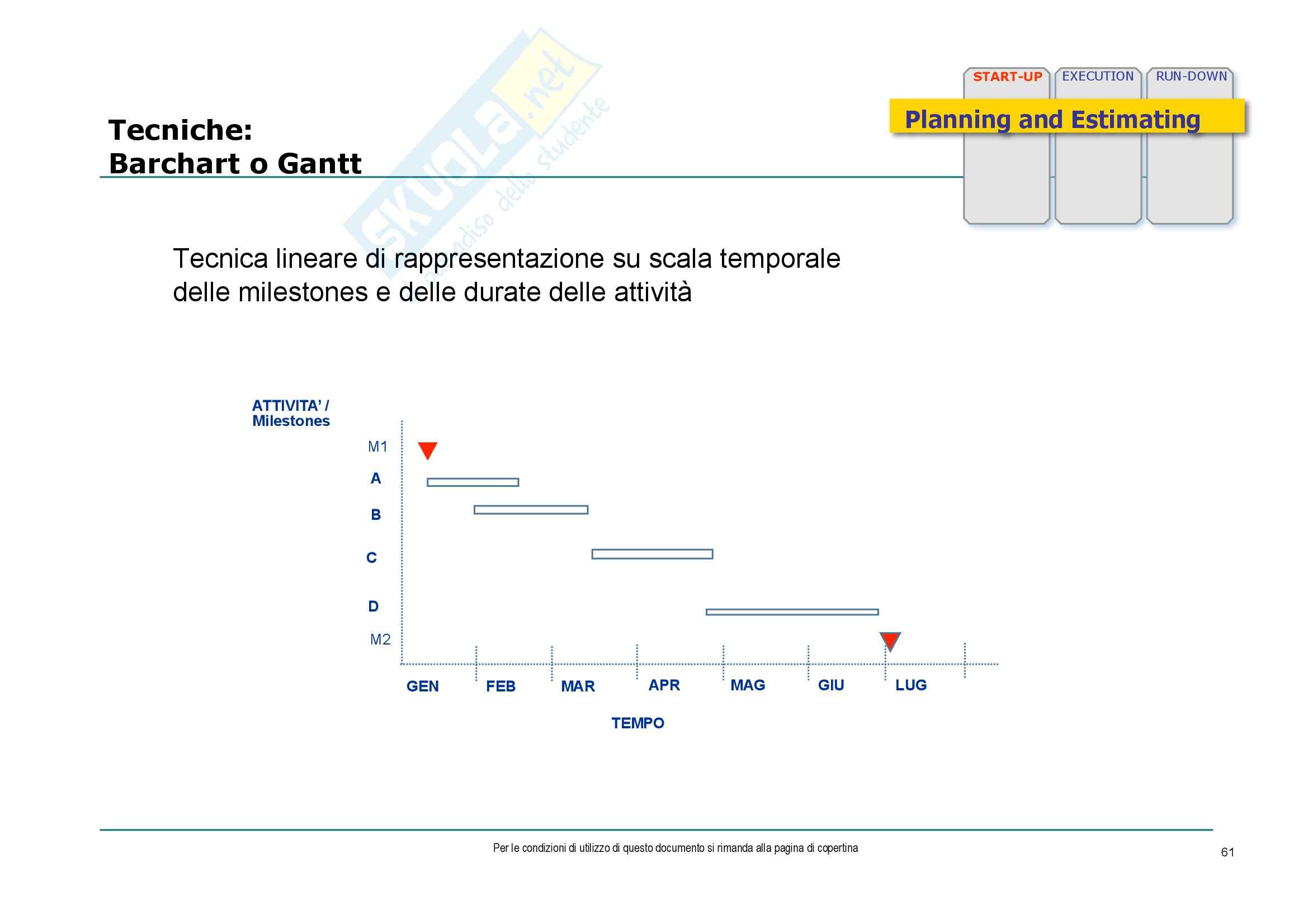Economia ed organizzazione aziendale - consulenza di direzione e gestione dei progetti Pag. 61