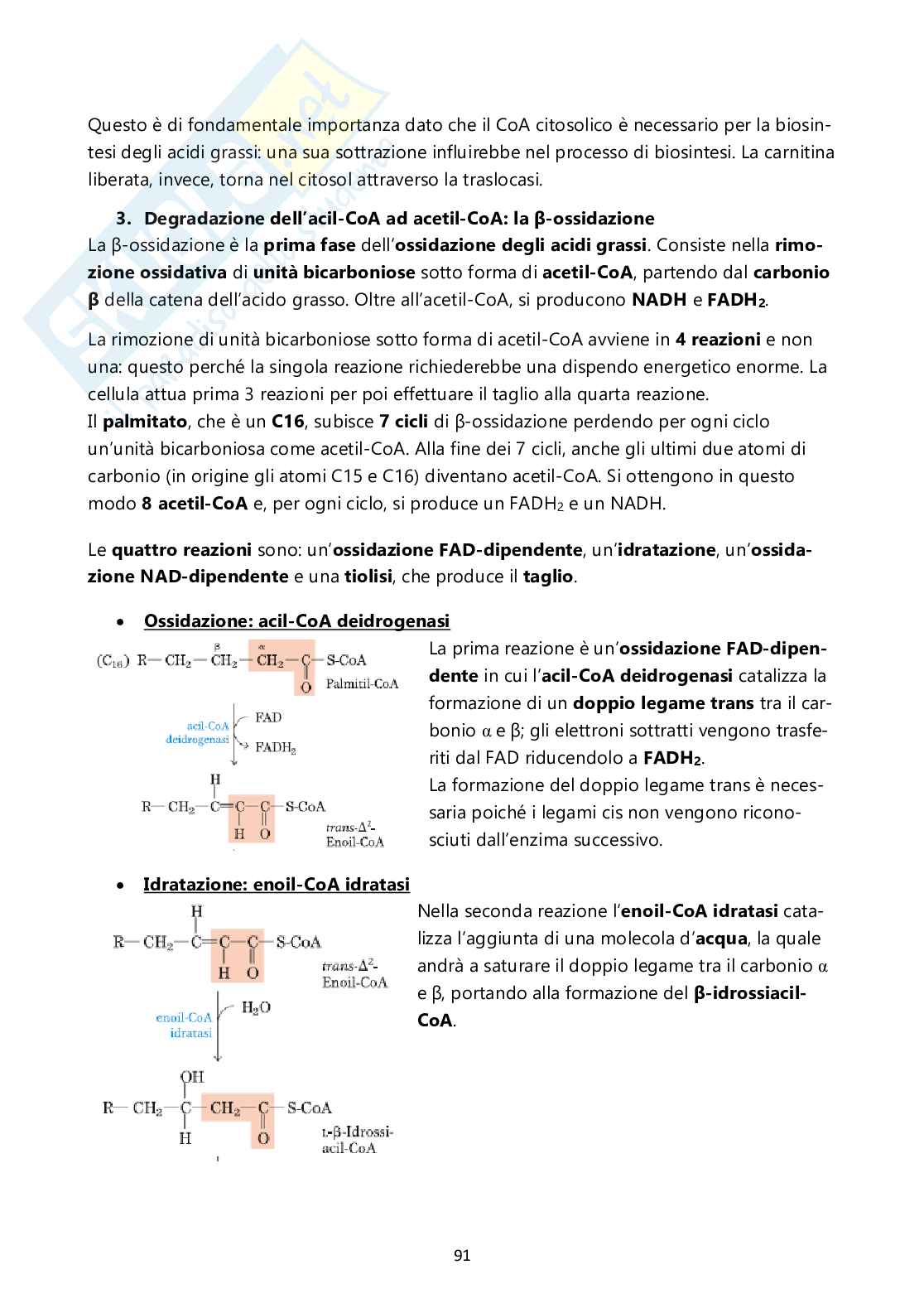 Biochimica generale e molecolare Pag. 91