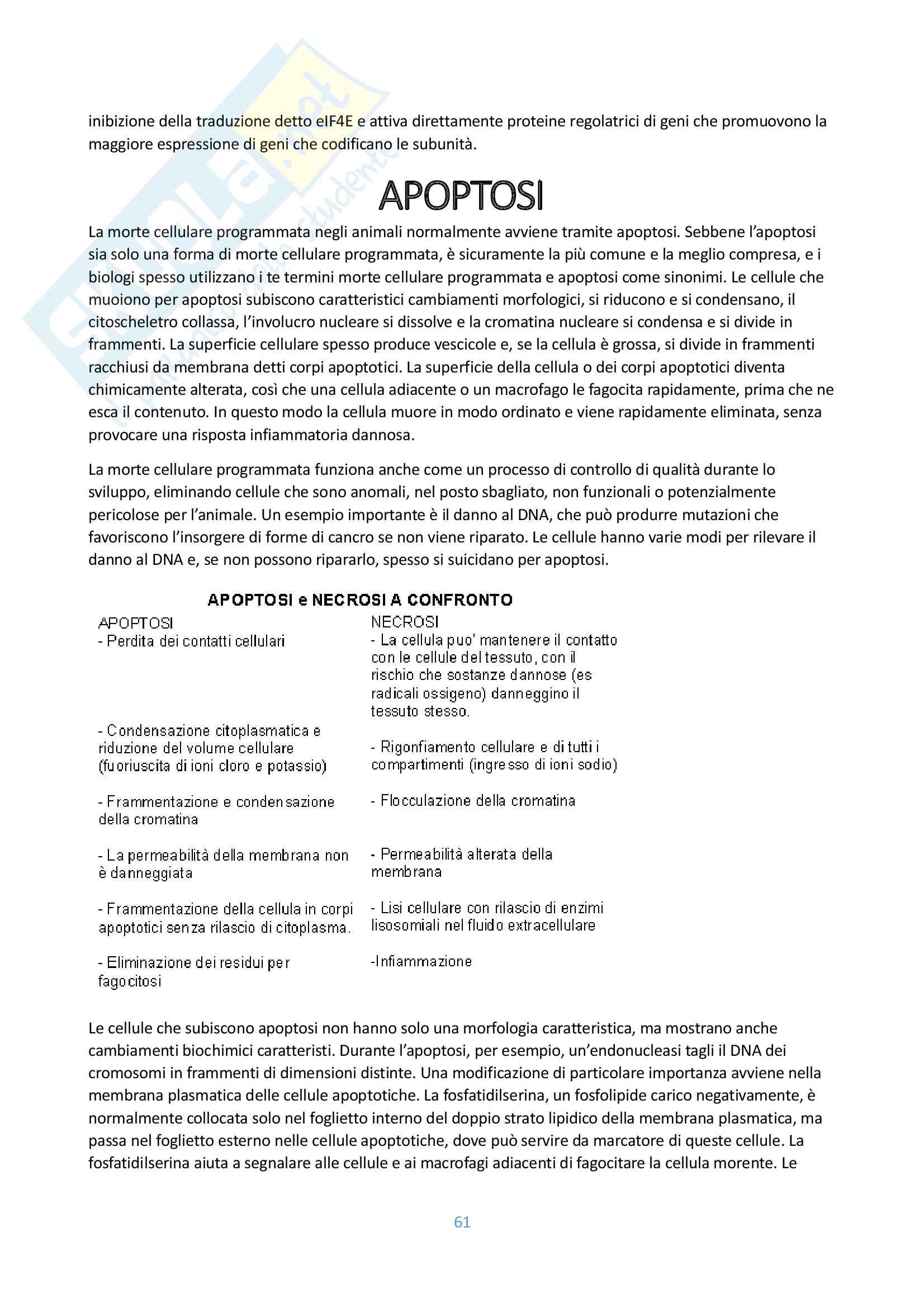 Appunti biologia cellulare Pag. 61