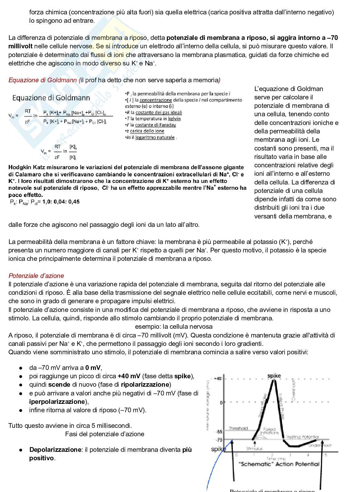 Fisiologia umana  Pag. 6