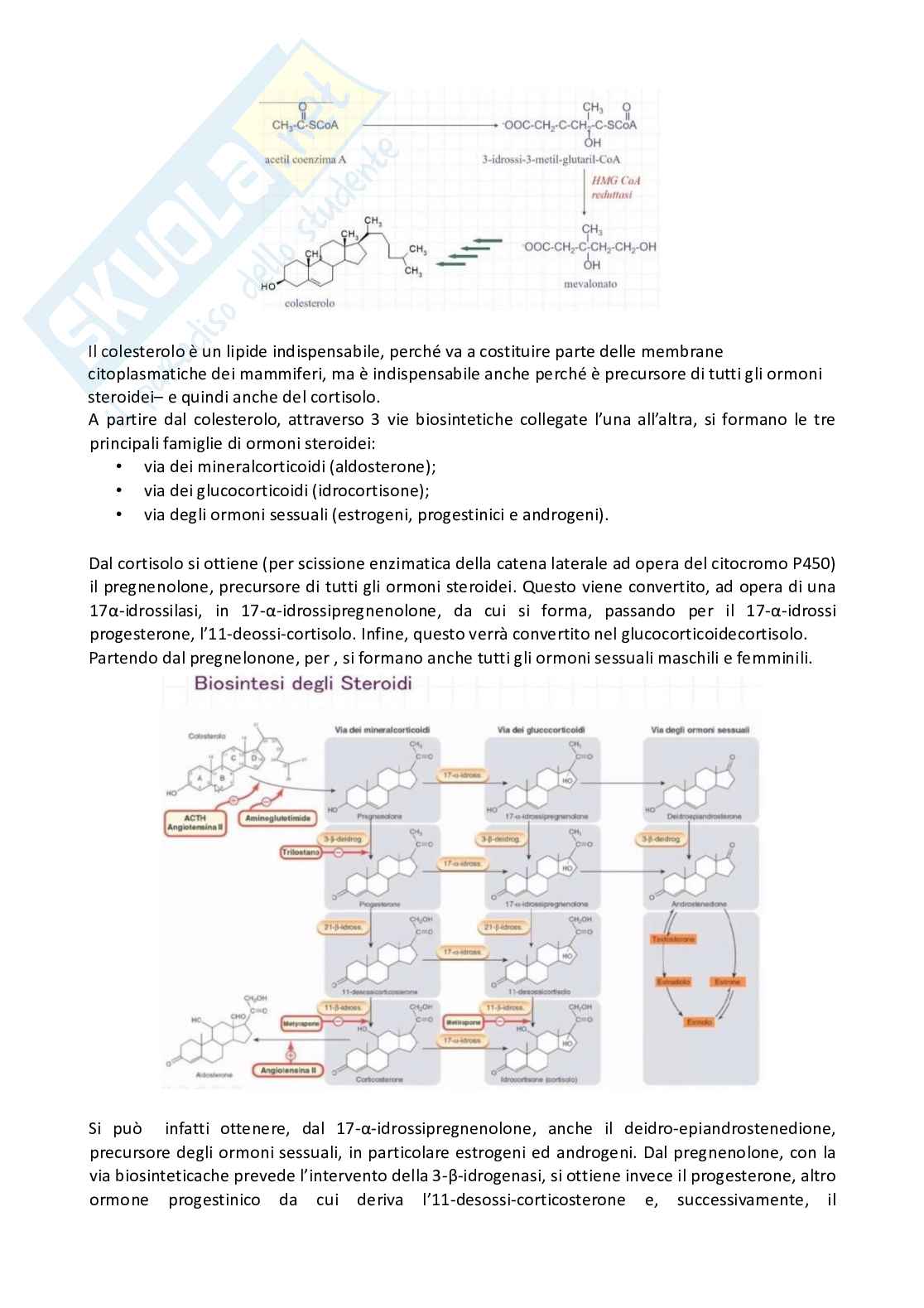 Apputi esame lezioni 12-22 su 33 di Chimica farmaceutica e tossicologica 2  Pag. 2