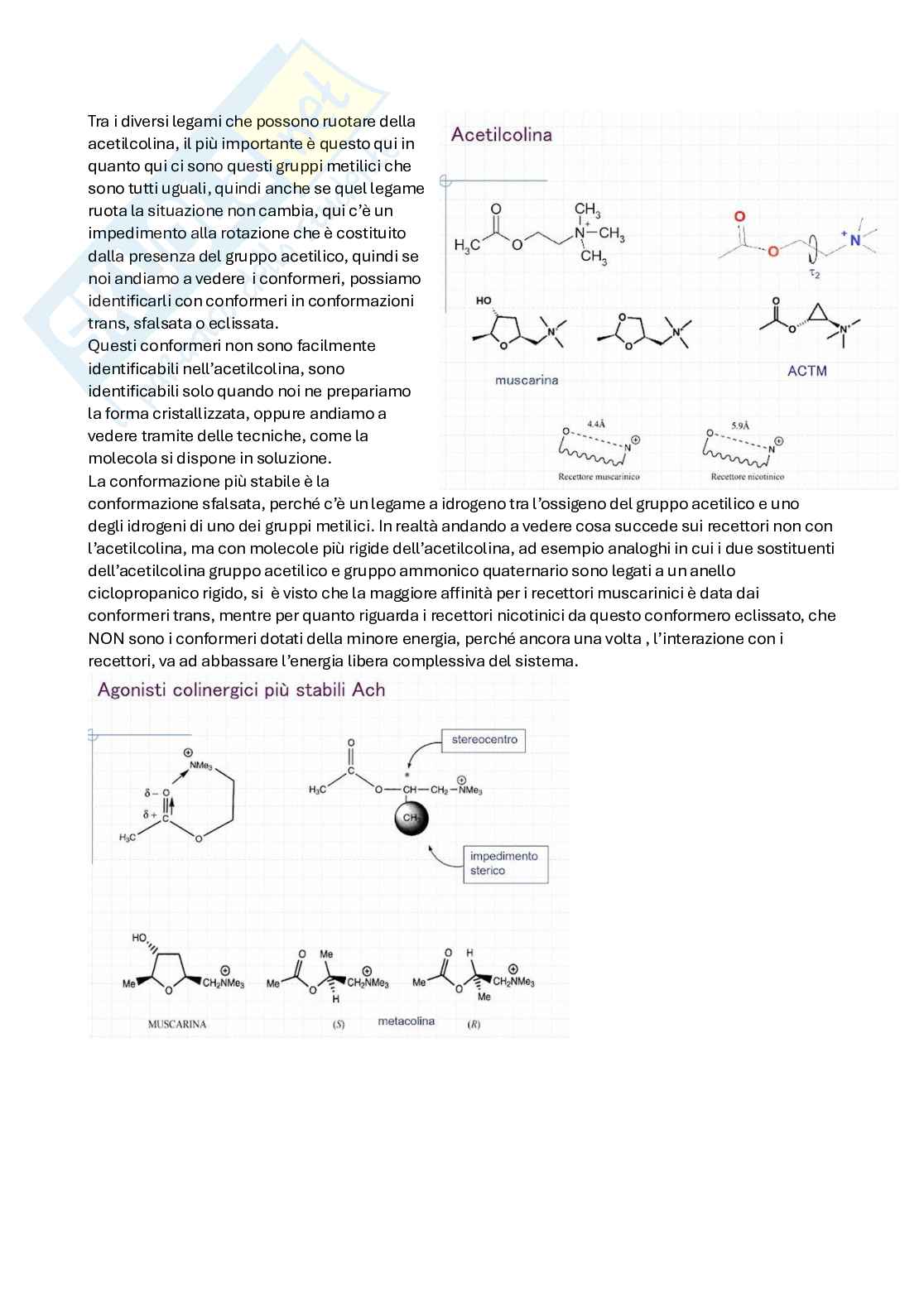 Apputi esame lezioni 12-22 su 33 di Chimica farmaceutica e tossicologica 2  Pag. 36