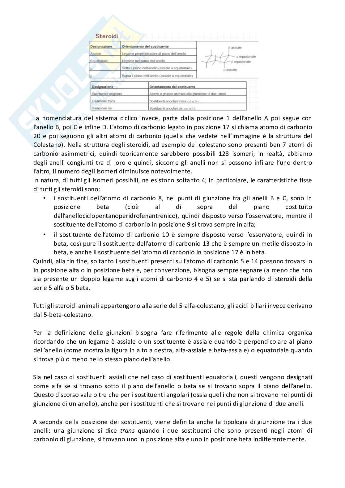 Apputi esame lezioni 12-22 su 33 di Chimica farmaceutica e tossicologica 2  Pag. 6
