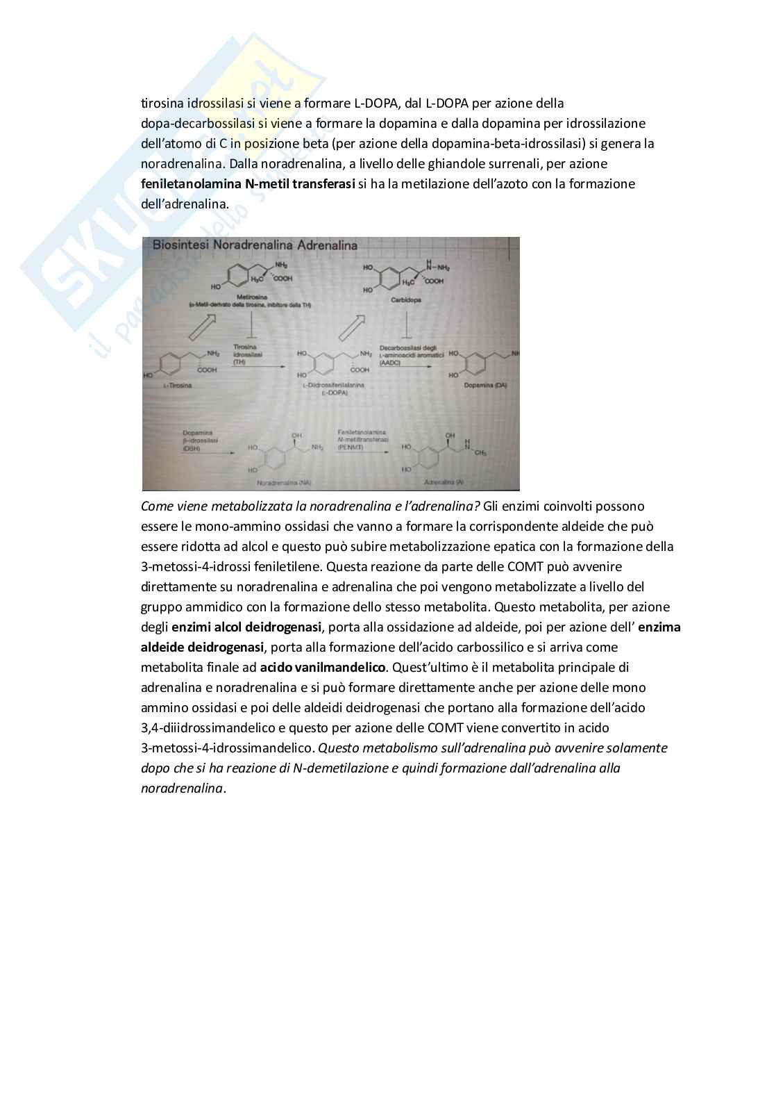 Apputi esame lezioni 12-22 su 33 di Chimica farmaceutica e tossicologica 2  Pag. 71