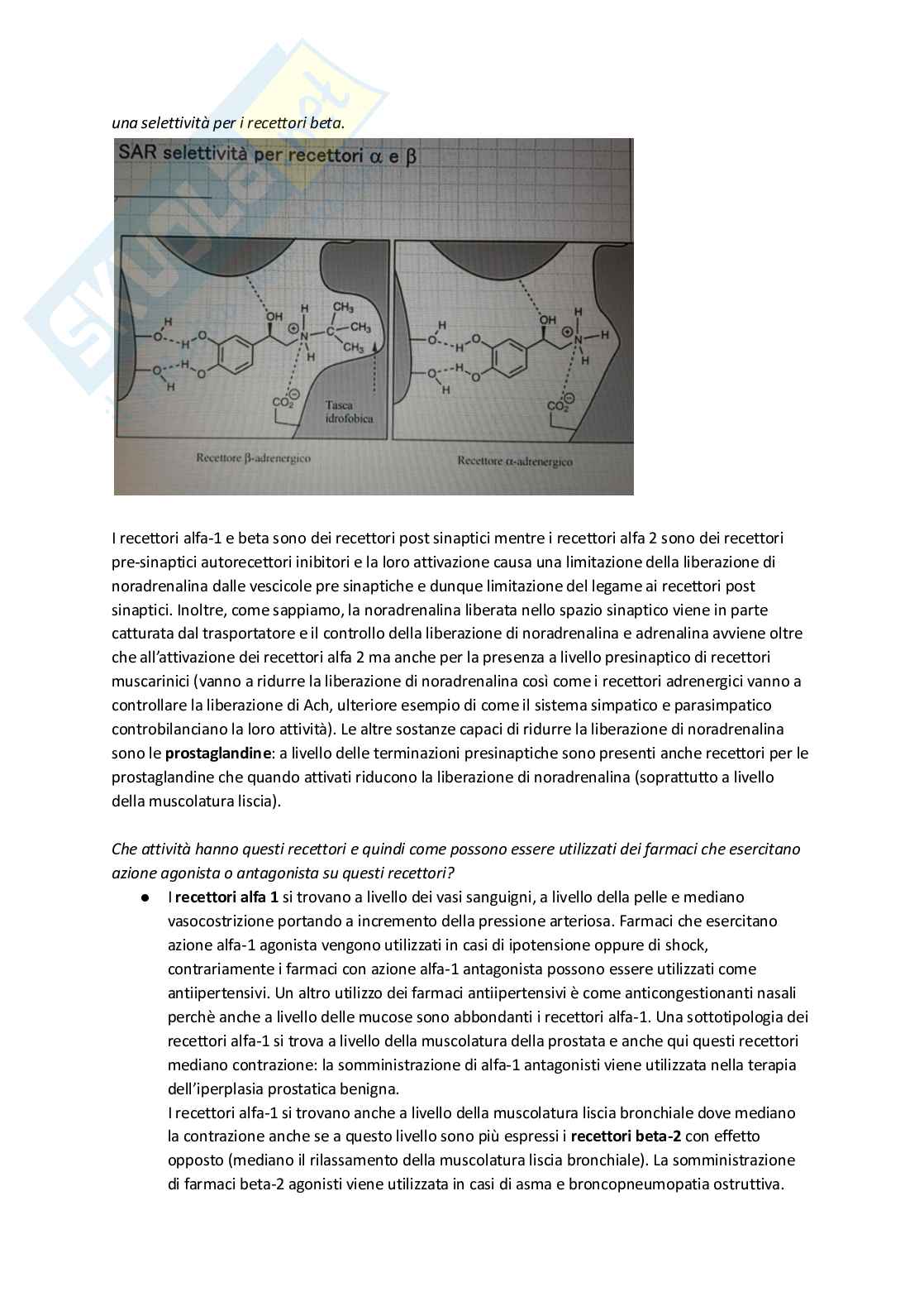 Apputi esame lezioni 12-22 su 33 di Chimica farmaceutica e tossicologica 2  Pag. 76