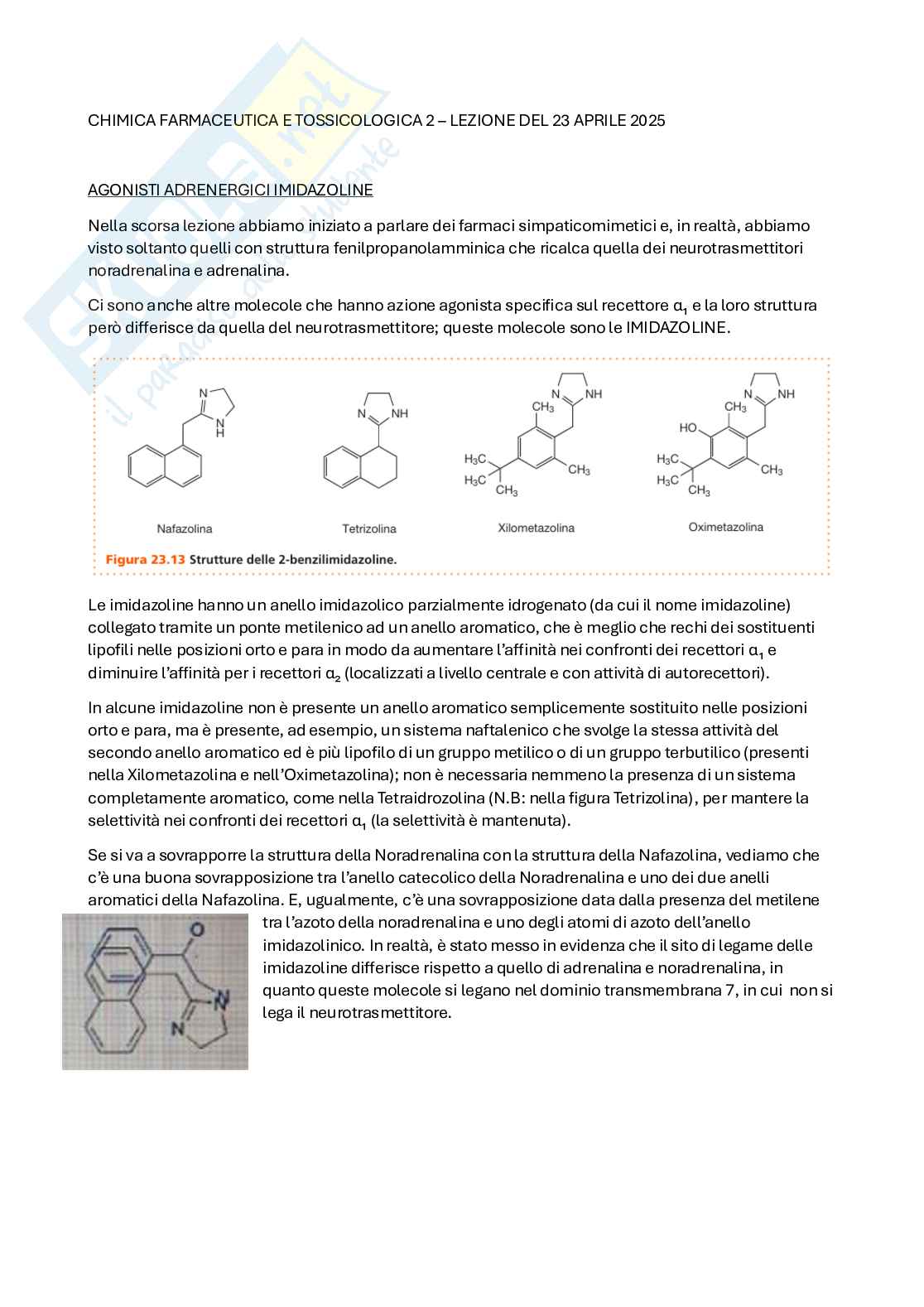 Apputi esame lezioni 12-22 su 33 di Chimica farmaceutica e tossicologica 2  Pag. 81
