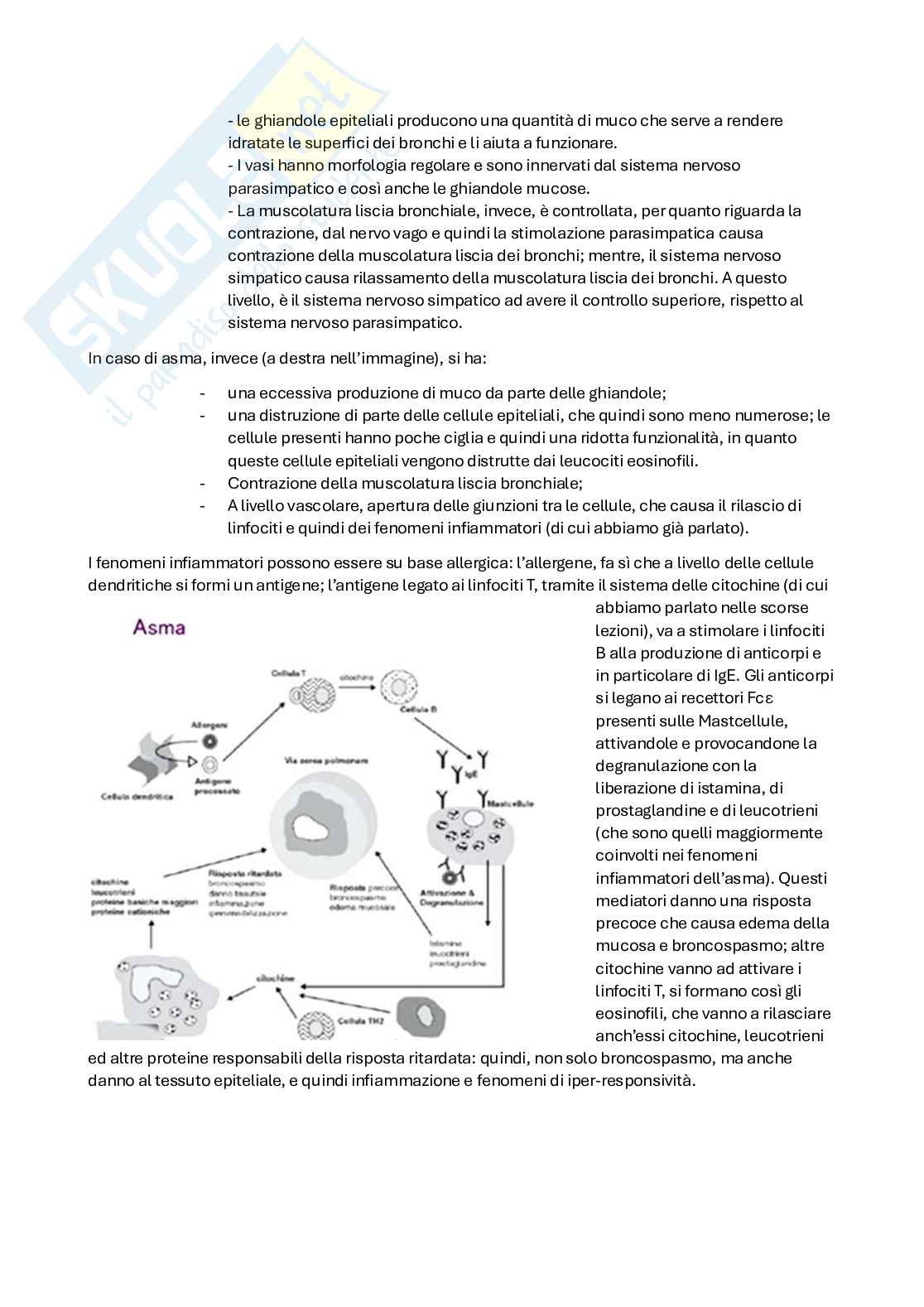 Apputi esame lezioni 12-22 su 33 di Chimica farmaceutica e tossicologica 2  Pag. 91