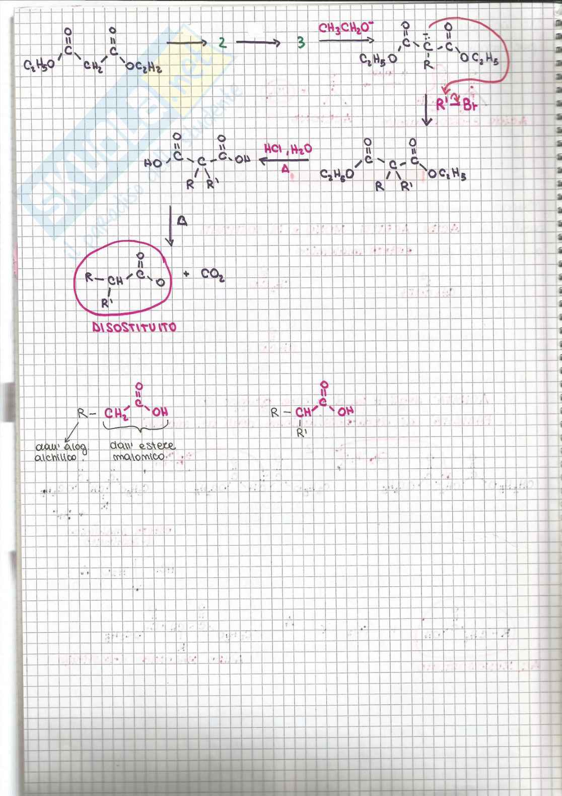 Chimica organica - parte 7 Pag. 11