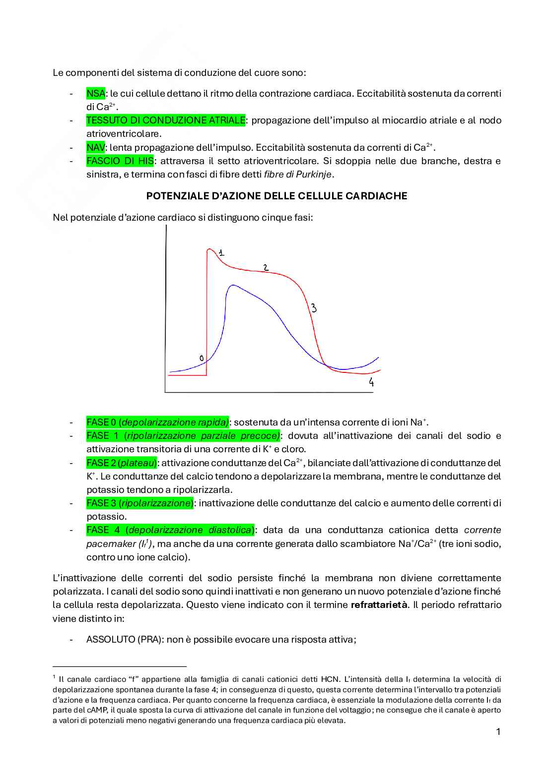 Riassunto esame Fisiologia, Prof. Conti Fiorenzo, libro consigliato Fisiologia umana - sezione cardiocircolatorio, Conti Pag. 1