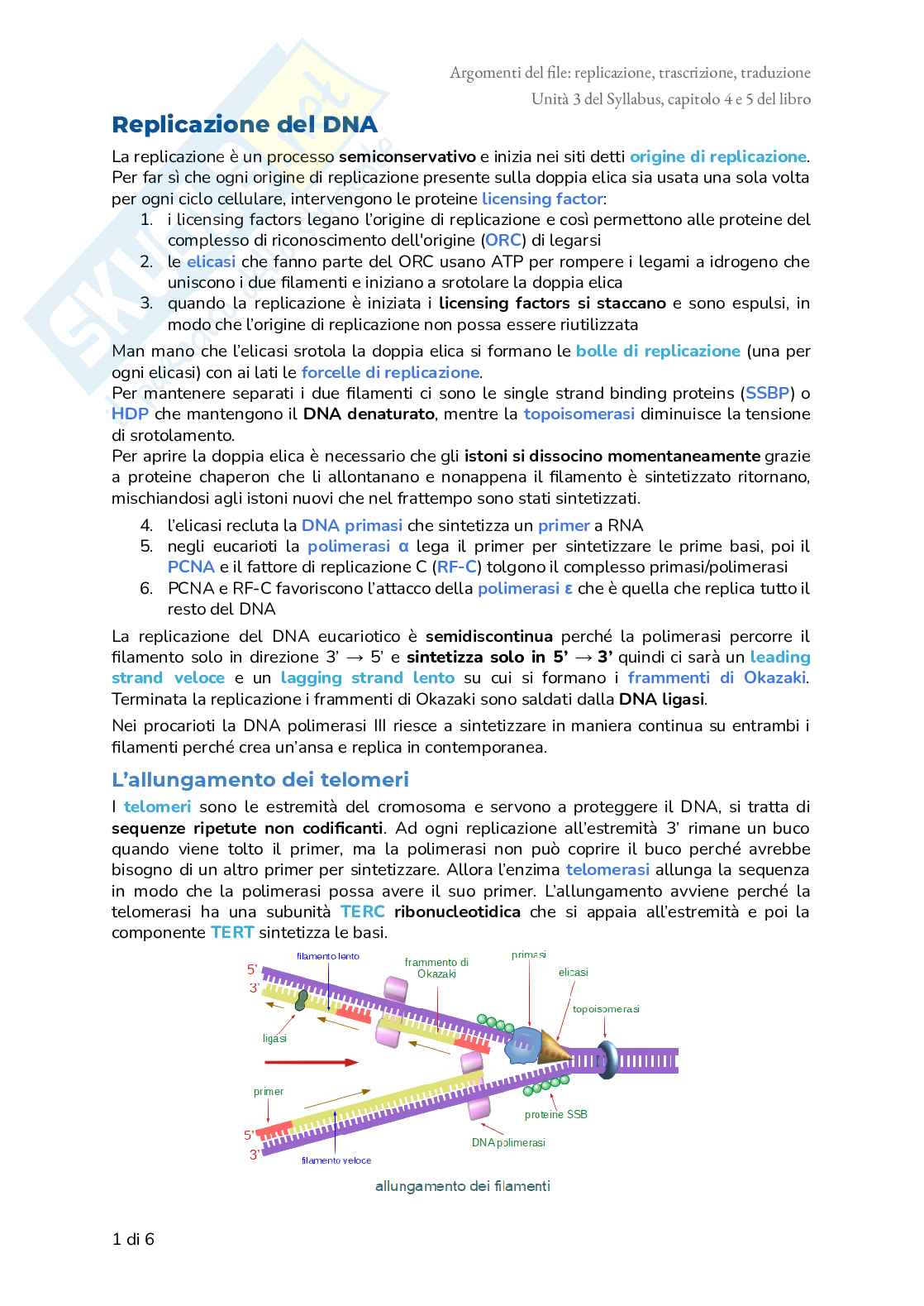 Riassunto esame Biologia, Prof. Frabetti Flavia, libro consigliato Manuale completo per il semestre filtro, Alessandro,Bucci, Fasano Pag. 1