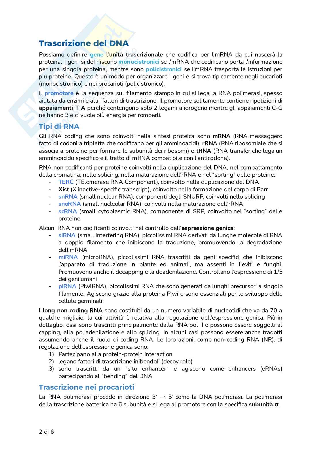 Riassunto esame Biologia, Prof. Frabetti Flavia, libro consigliato Manuale completo per il semestre filtro, Alessandro,Bucci, Fasano Pag. 2