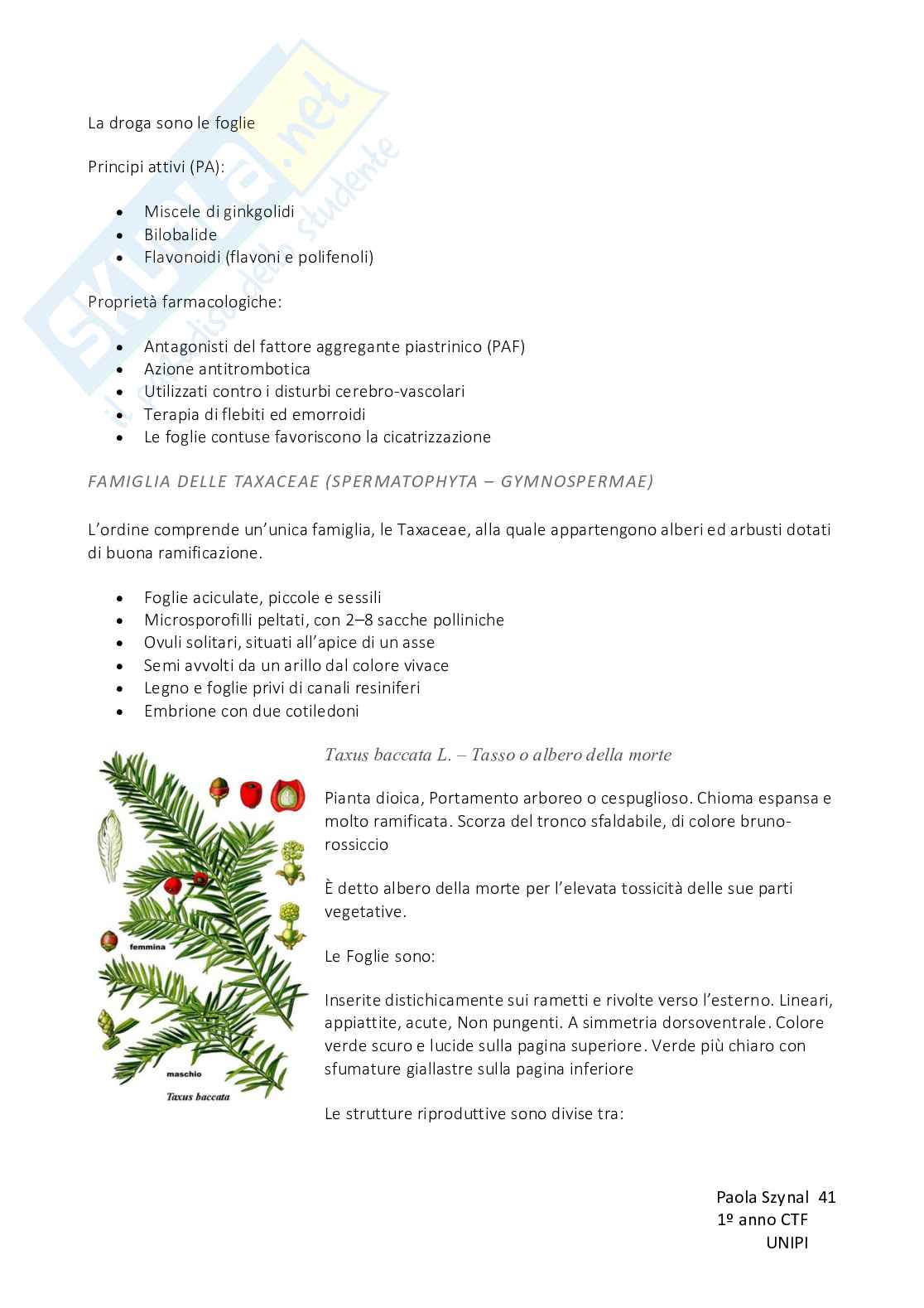 Biologia vegetale con elementi di botanica farmaceutica Pag. 41