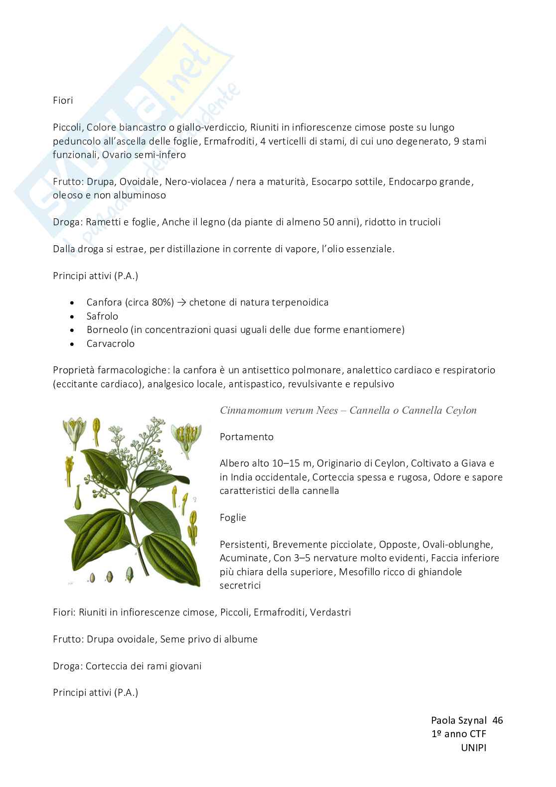 Biologia vegetale con elementi di botanica farmaceutica Pag. 46