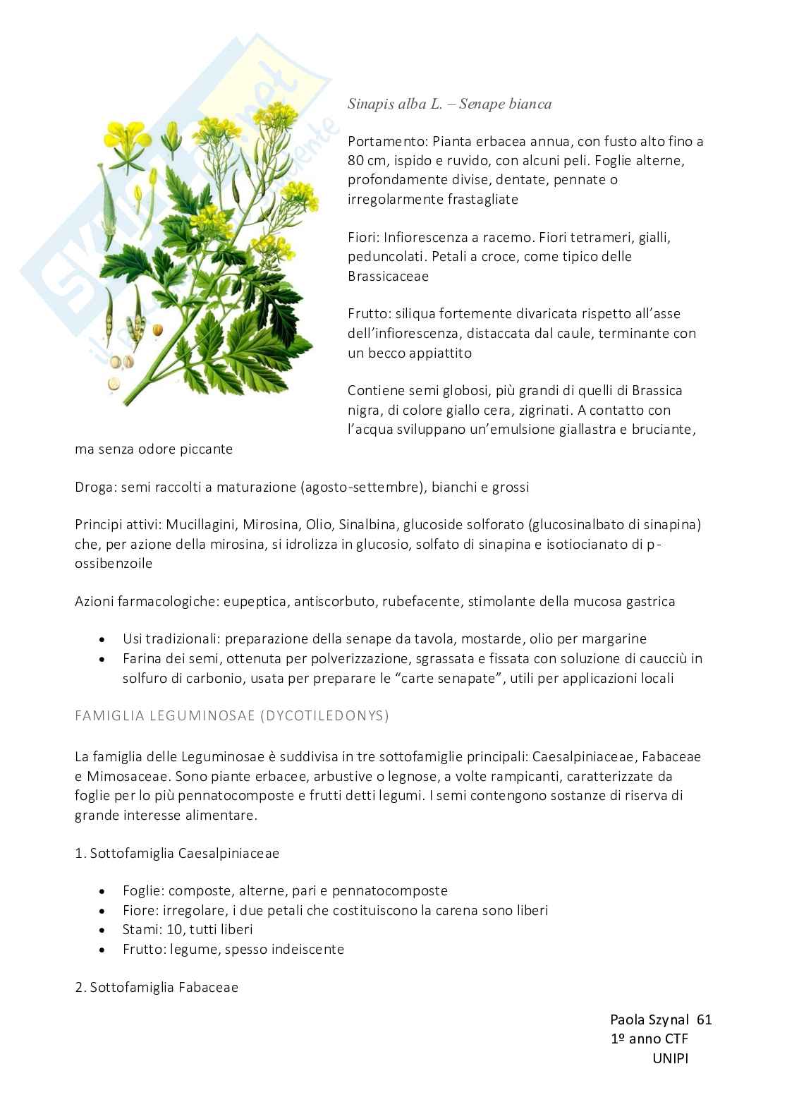 Biologia vegetale con elementi di botanica farmaceutica Pag. 61