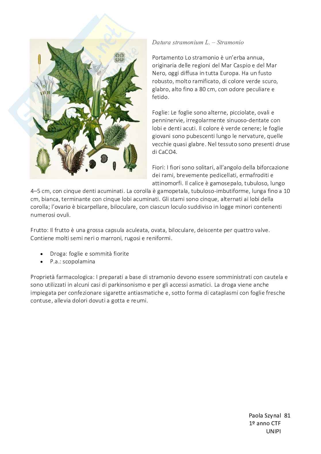 Biologia vegetale con elementi di botanica farmaceutica Pag. 81