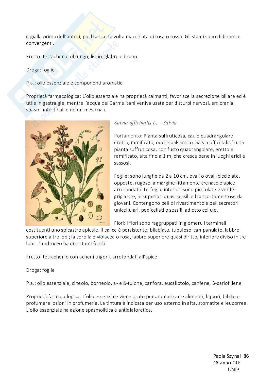 Biologia vegetale con elementi di botanica farmaceutica Pag. 86