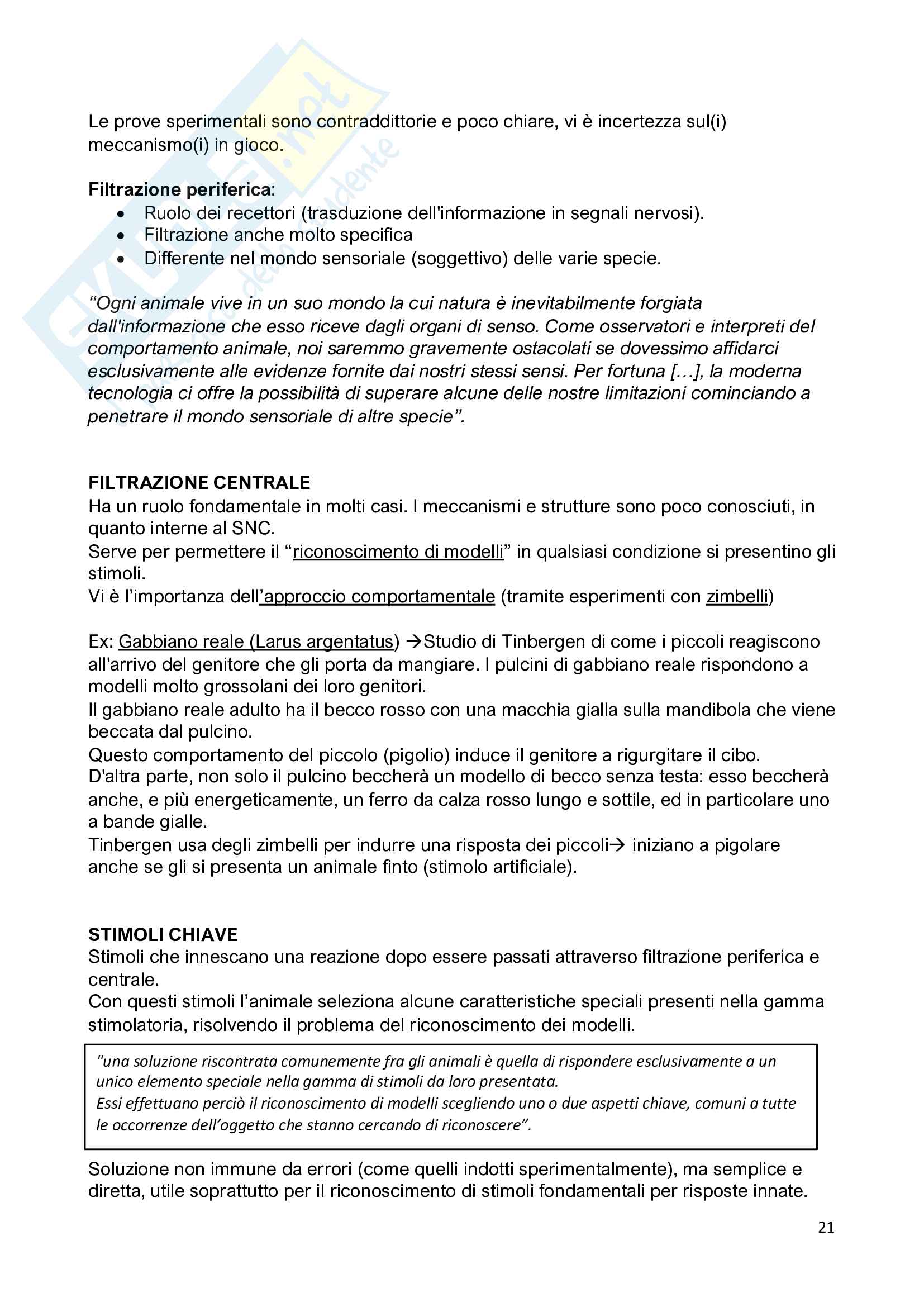 Etologia - studio sul comportamento animale Pag. 21