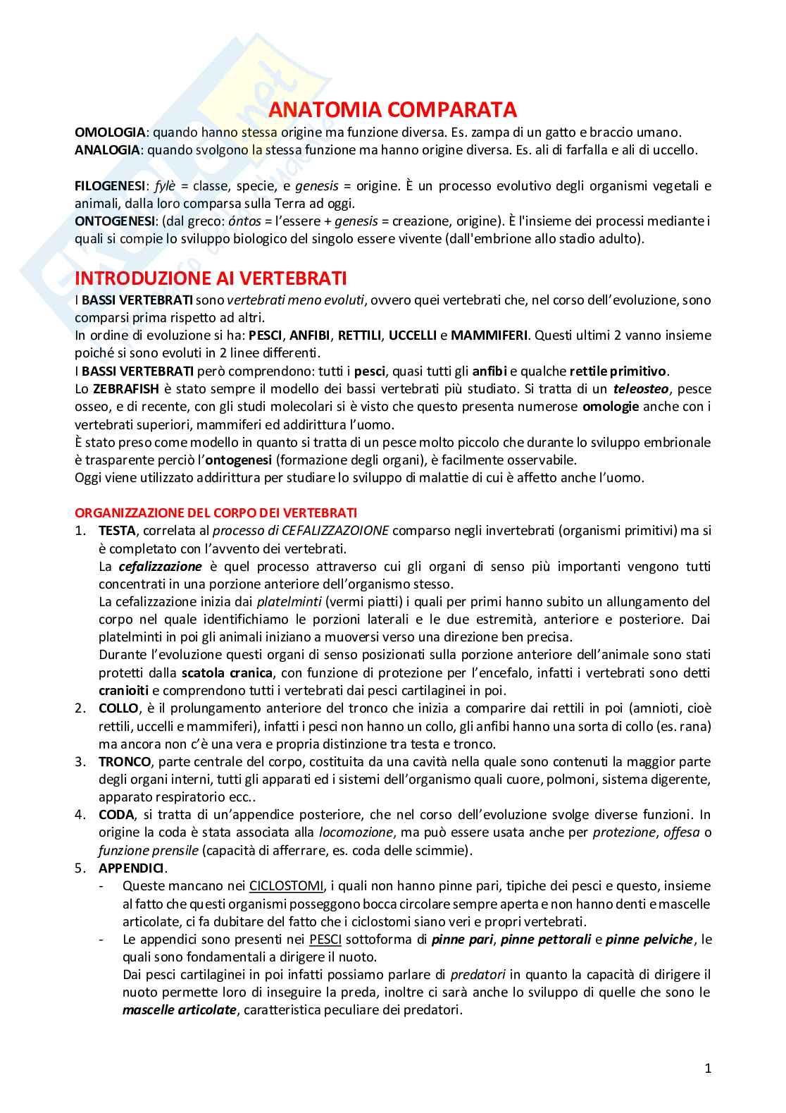 Anatomia comparata dei vertebrati Pag. 1