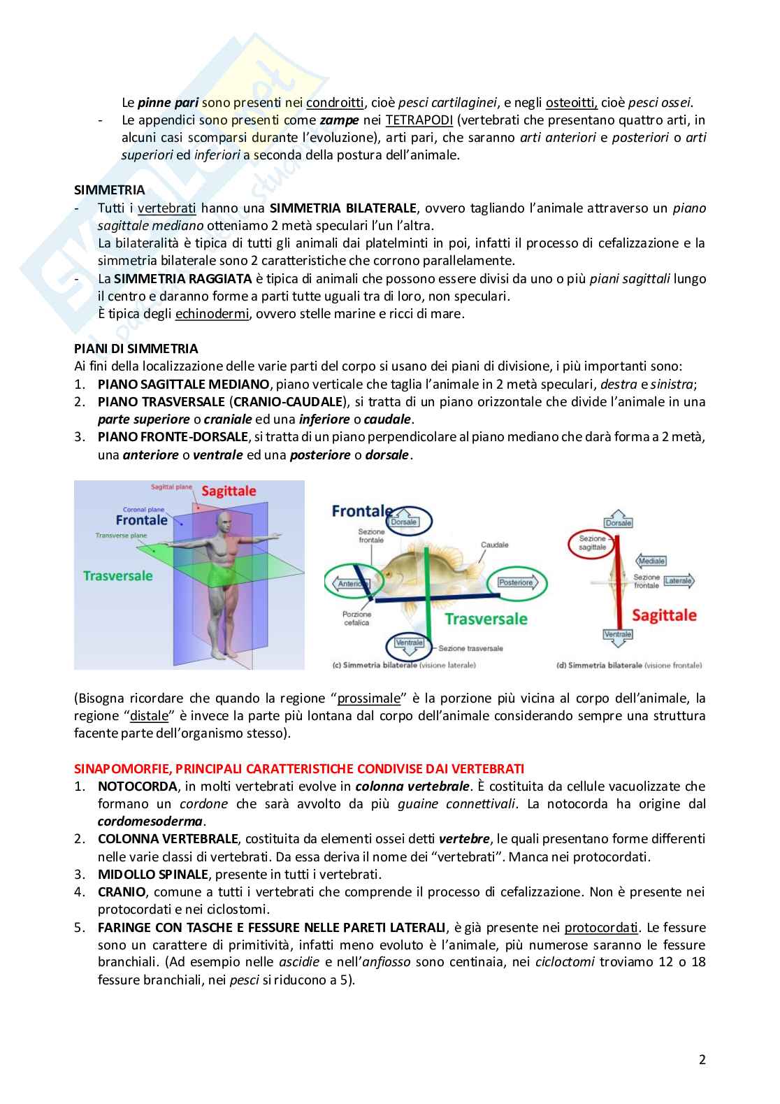 Anatomia comparata dei vertebrati Pag. 2