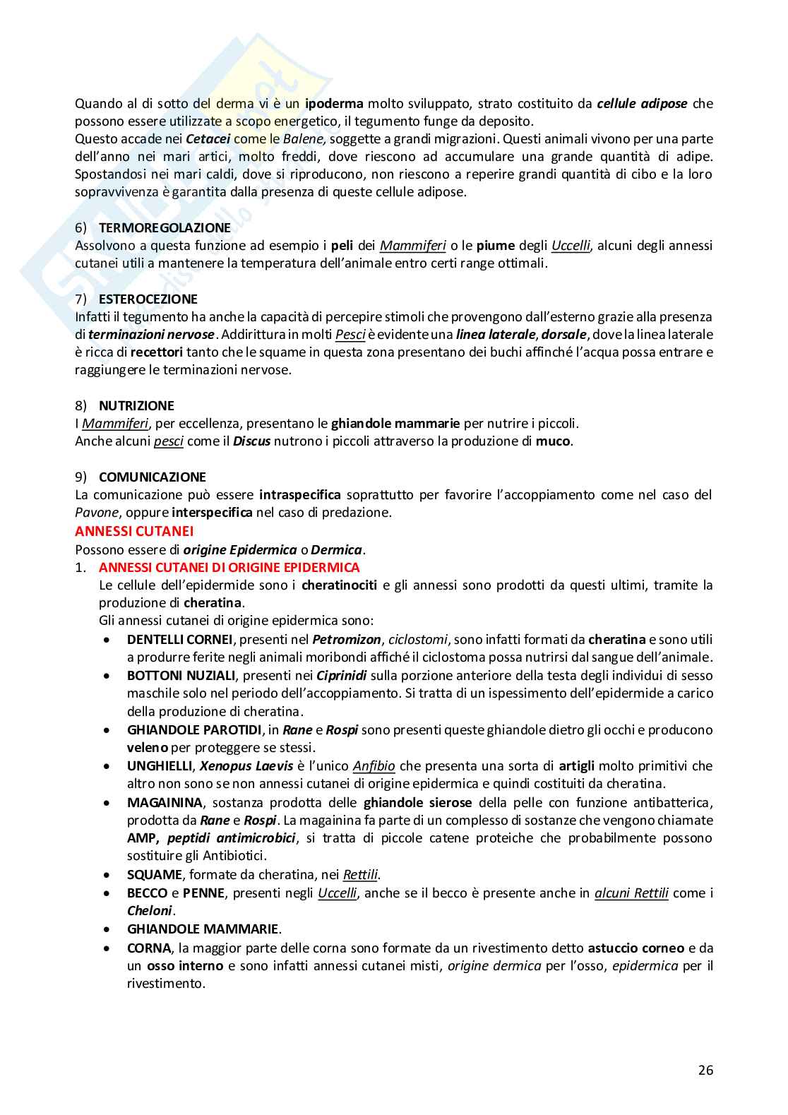 Anatomia comparata dei vertebrati Pag. 26