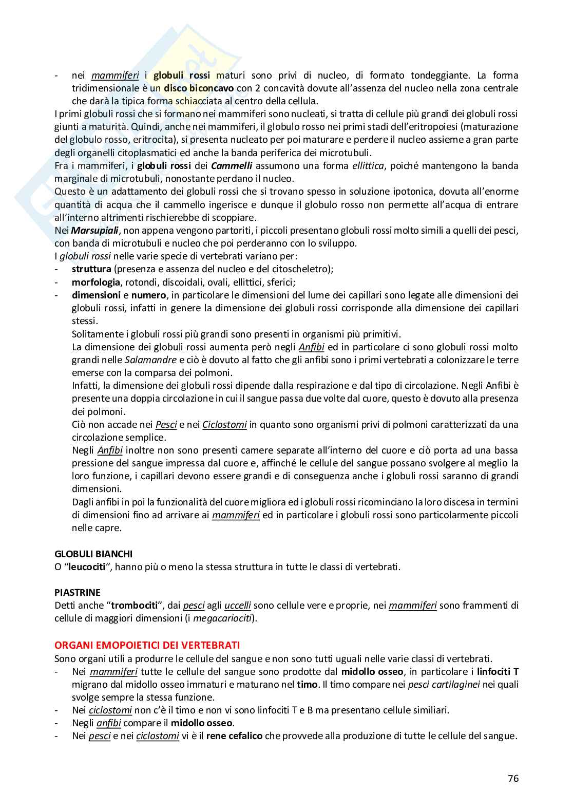 Anatomia comparata dei vertebrati Pag. 76
