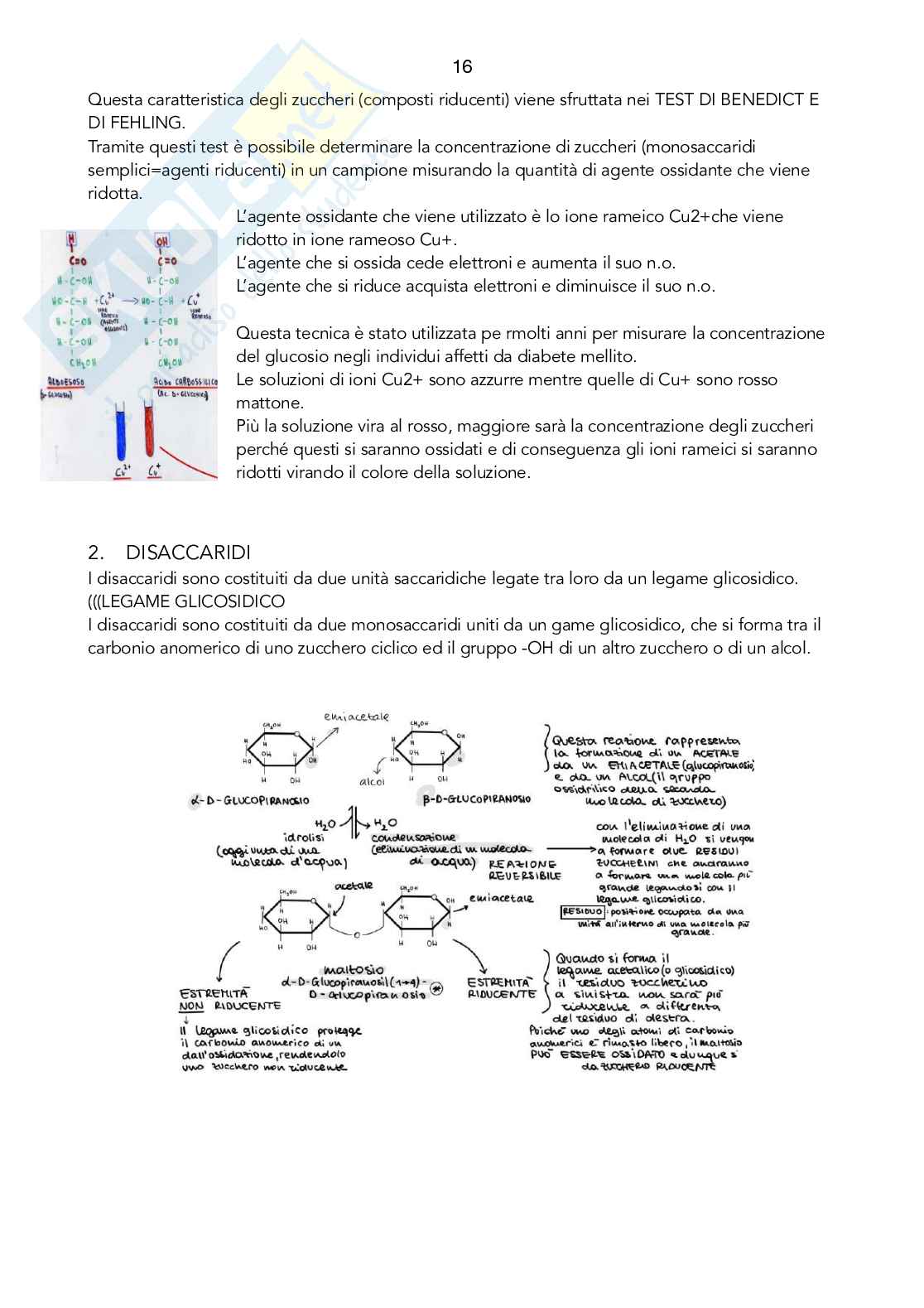 Propedeutica biochimica Pag. 16