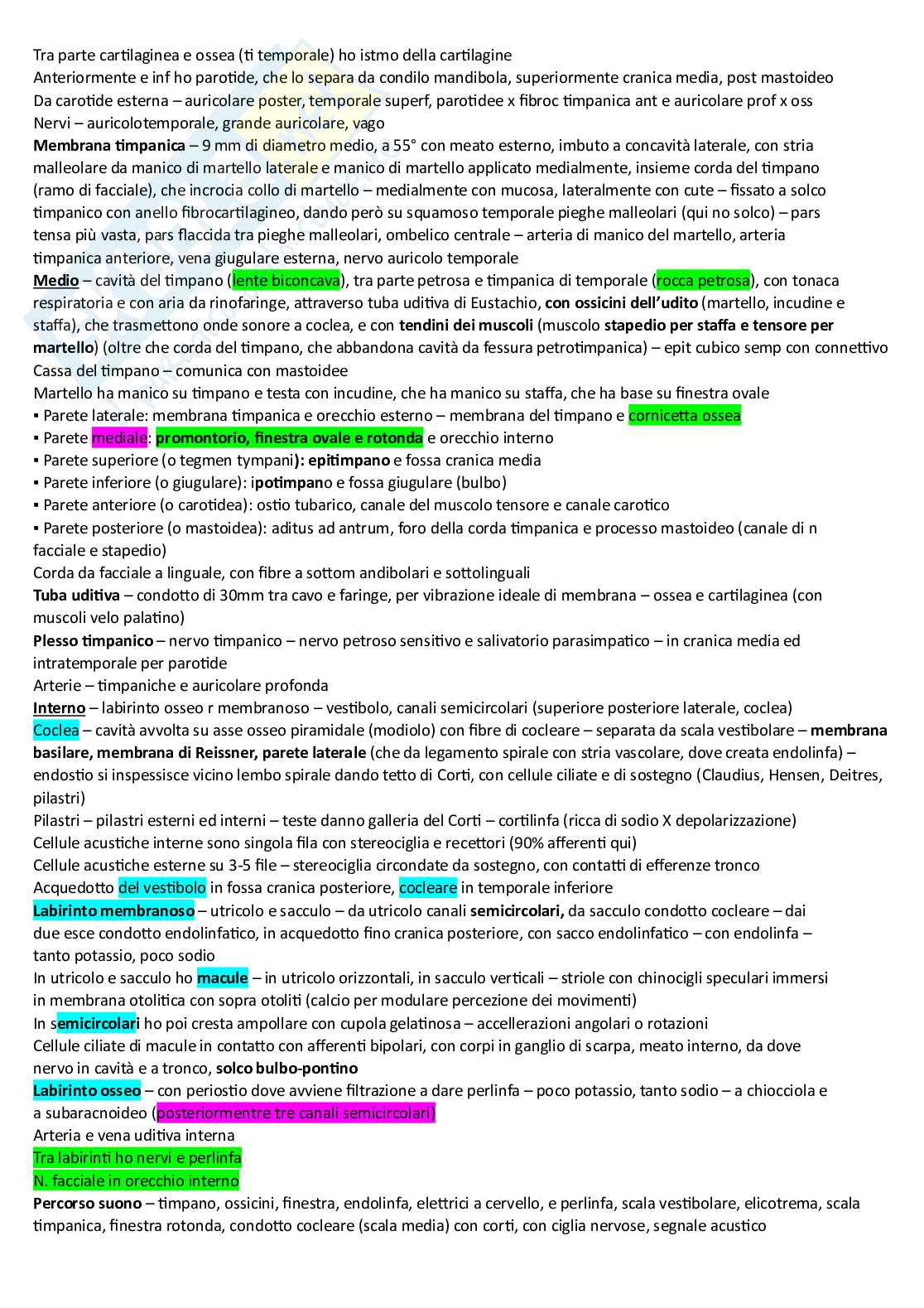 Riassunto esame Anatomia umana, Prof. Canella Maria, libro consigliato Anastasi , Anastasi Pag. 31