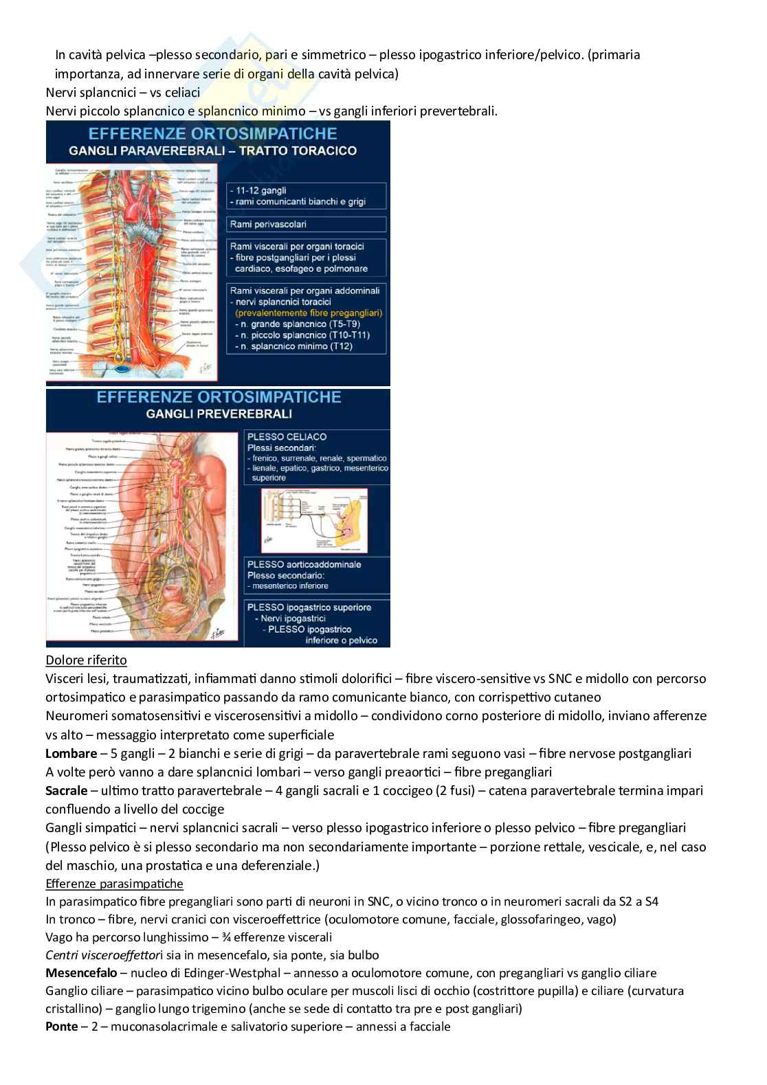 Riassunto esame Anatomia umana, Prof. Canella Maria, libro consigliato Anastasi , Anastasi Pag. 61