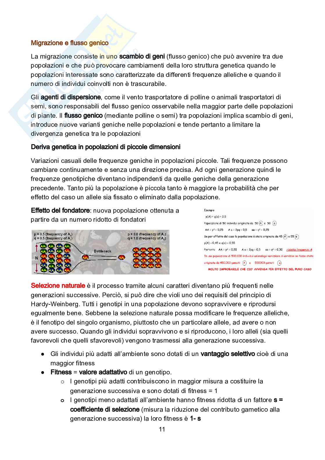 Genetica vegetale Pag. 11