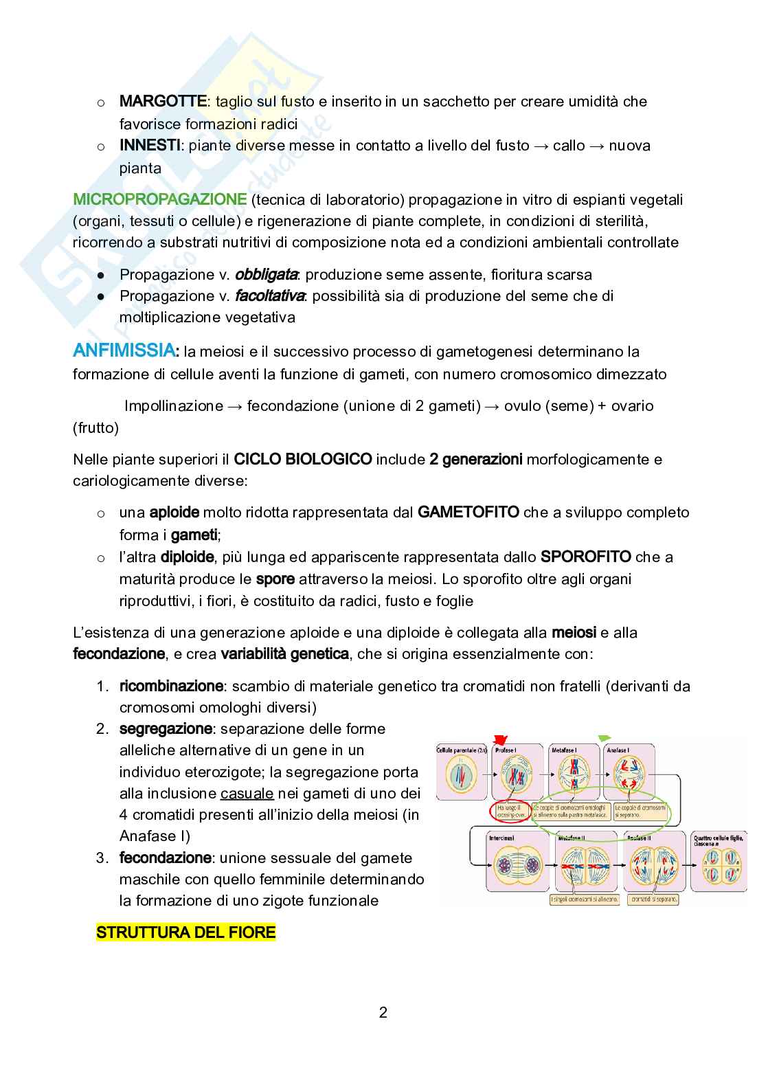 Genetica vegetale Pag. 2