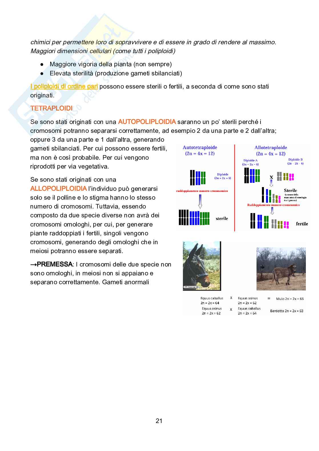 Genetica vegetale Pag. 21