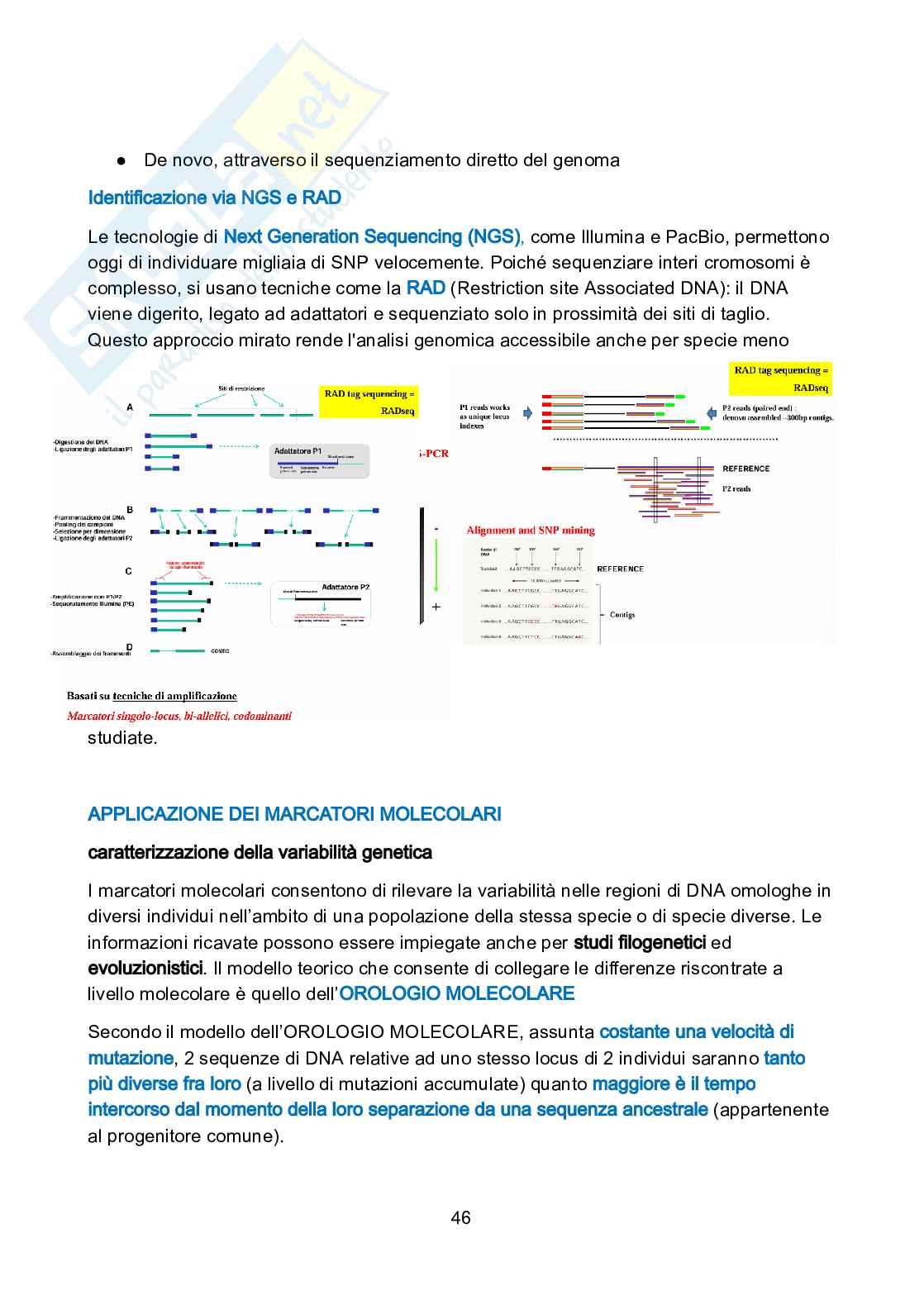 Genetica vegetale Pag. 46