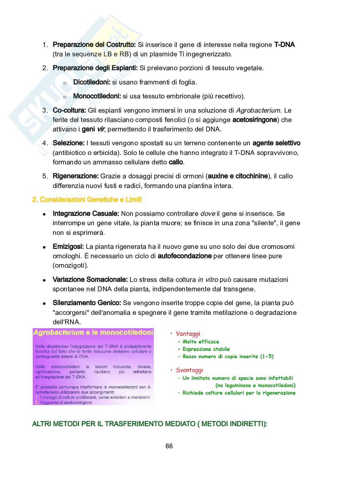 Genetica vegetale Pag. 66