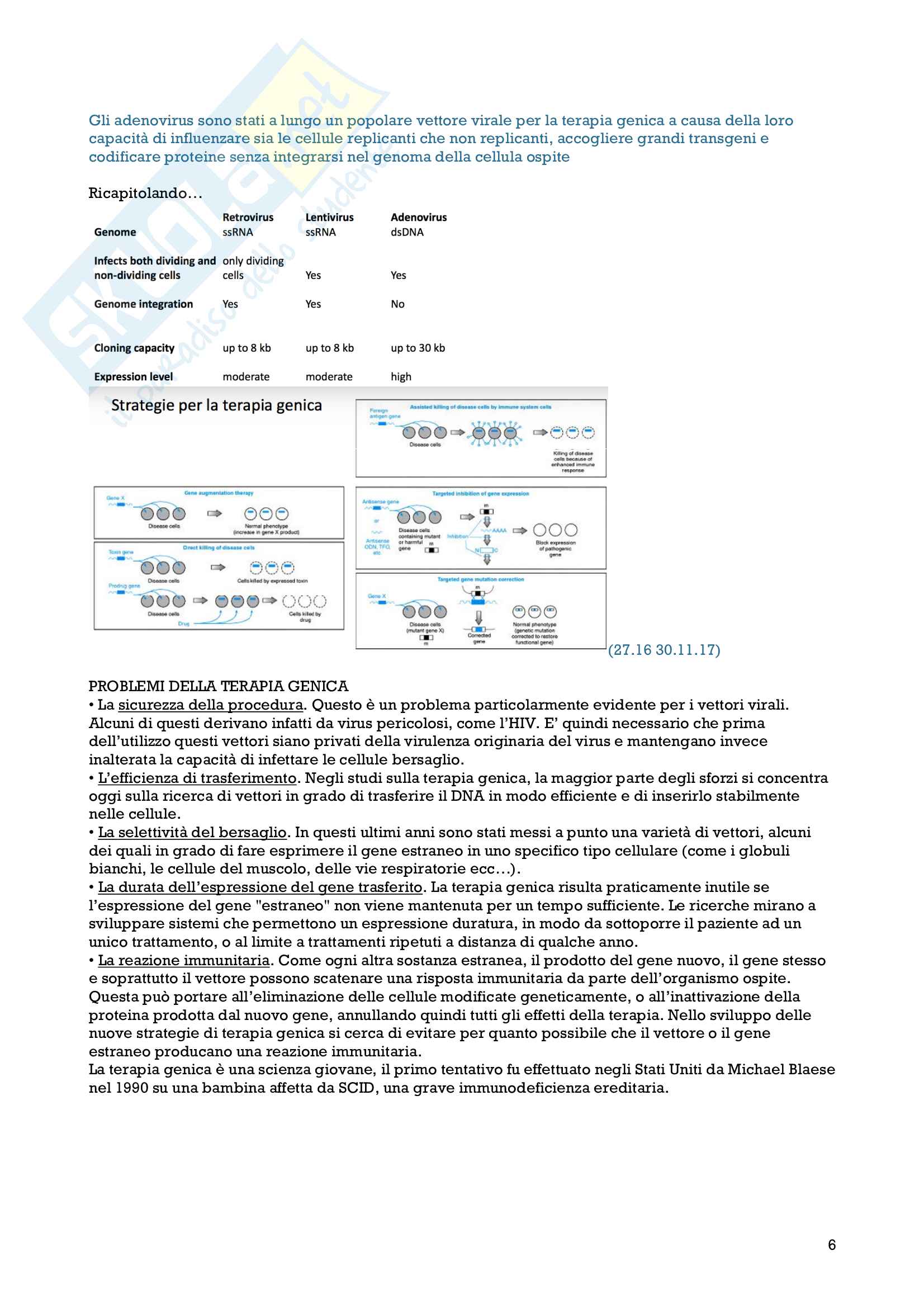 Parte di Genetica, Appunti Pag. 6