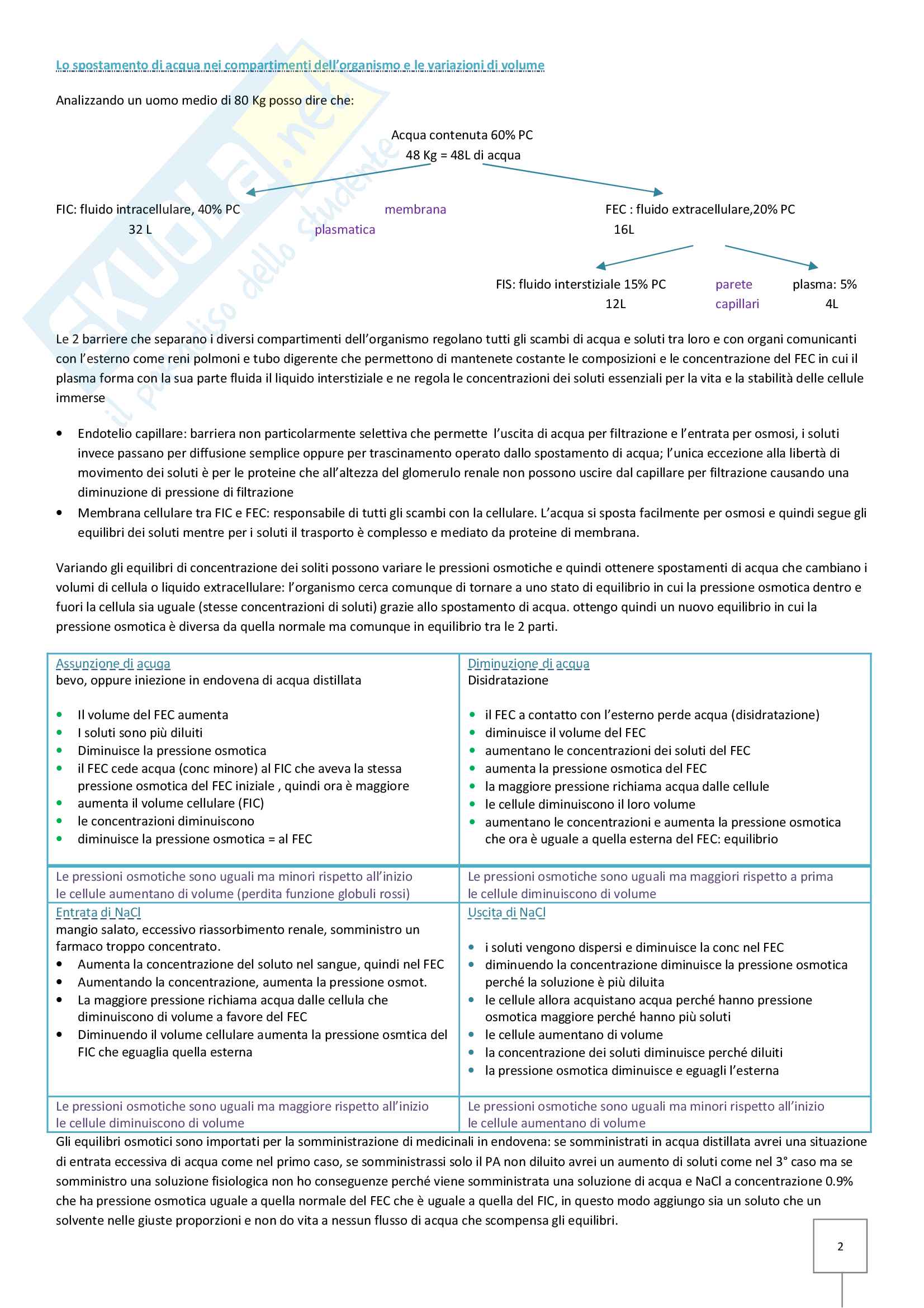 Riassunto Fisiologia Pag. 2