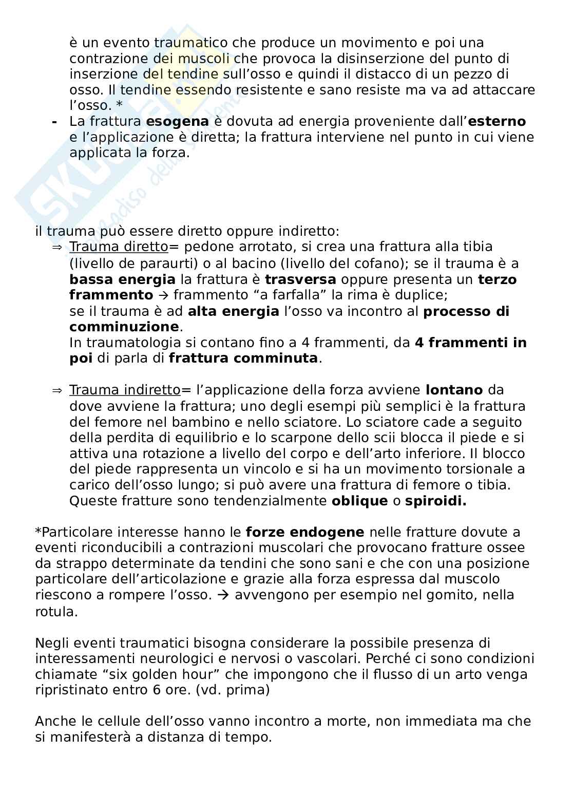 Malattie dell'apparato locomotore Pag. 31