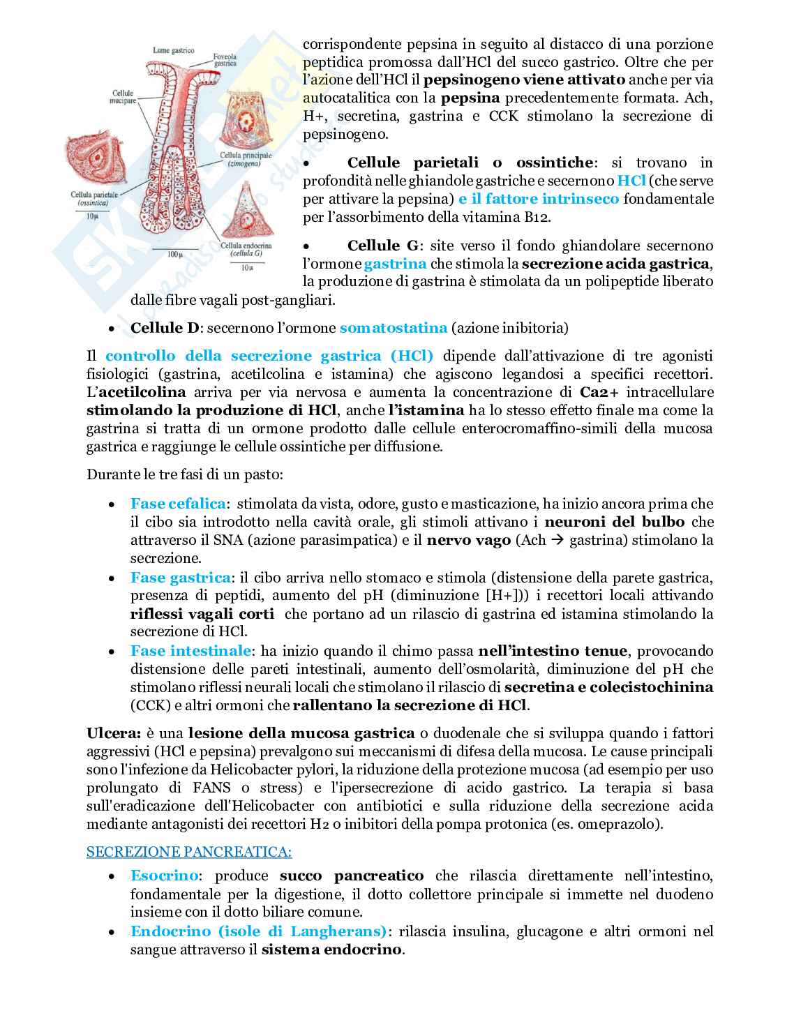 Fondamenti biologia, anatomia e fisiologia - Parte 3 Pag. 31
