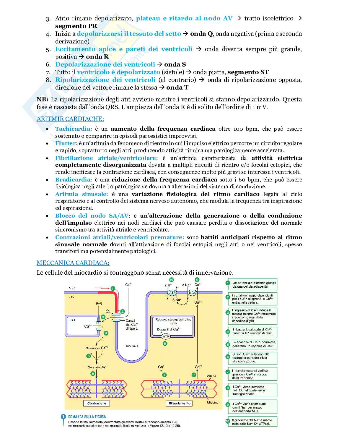 Fondamenti biologia, anatomia e fisiologia - Parte 3 Pag. 6