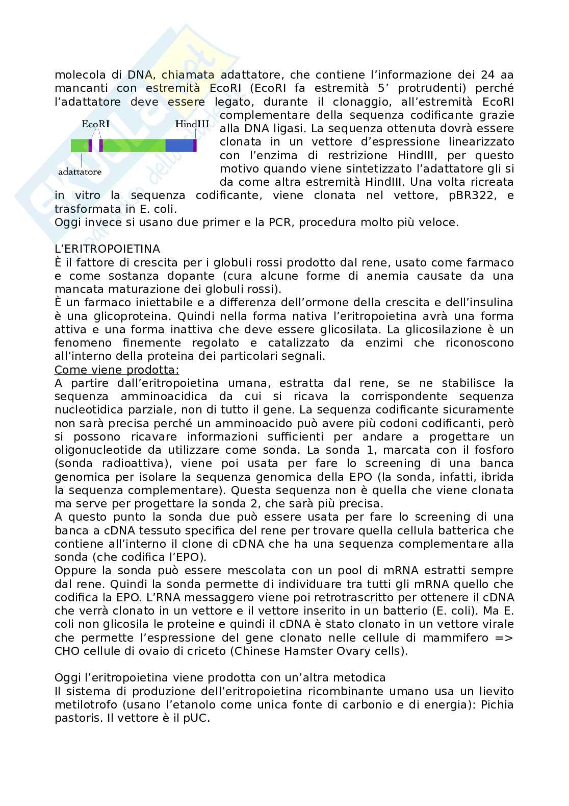 Biotecnologie - Processi e farmacologia Pag. 36