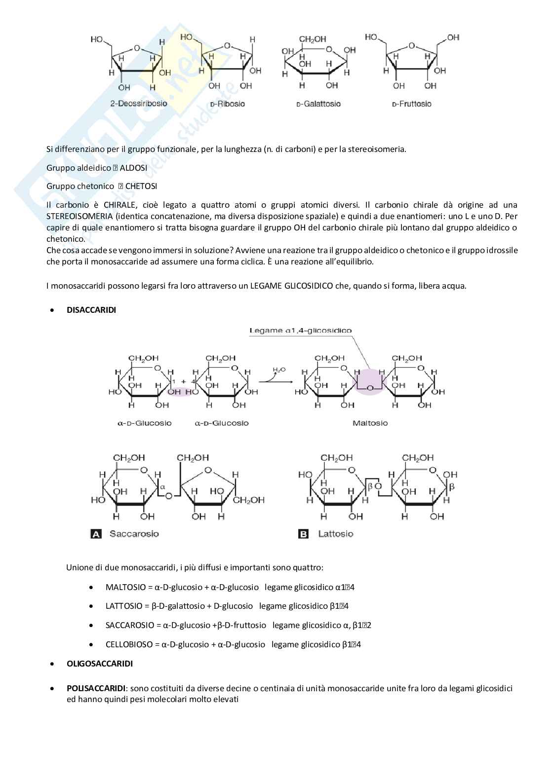 Riassunto Biologia e Genetica - Preparazione esame Biomediche 1 Pag. 2