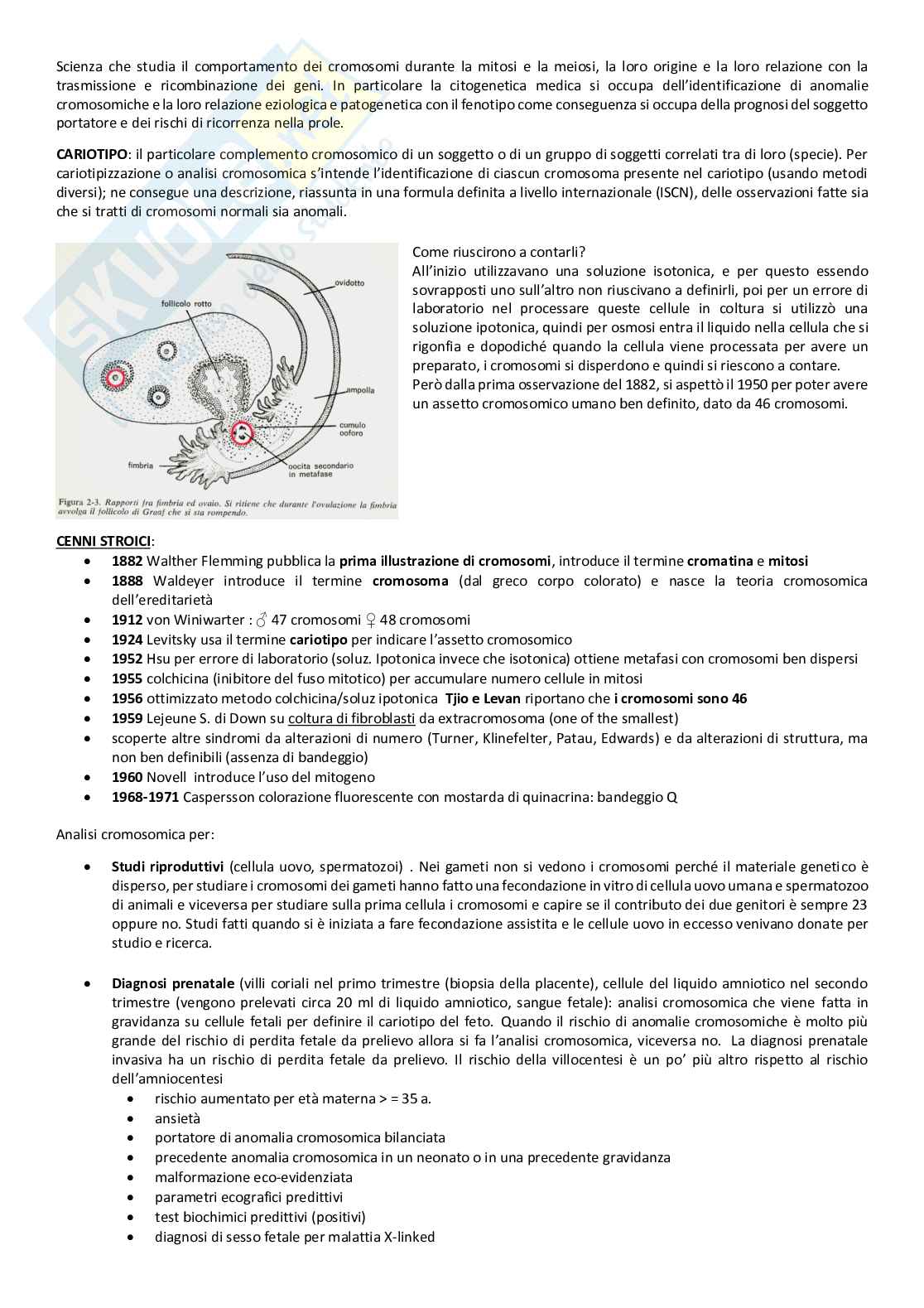 Riassunto Biologia e Genetica - Preparazione esame Biomediche 1 Pag. 31