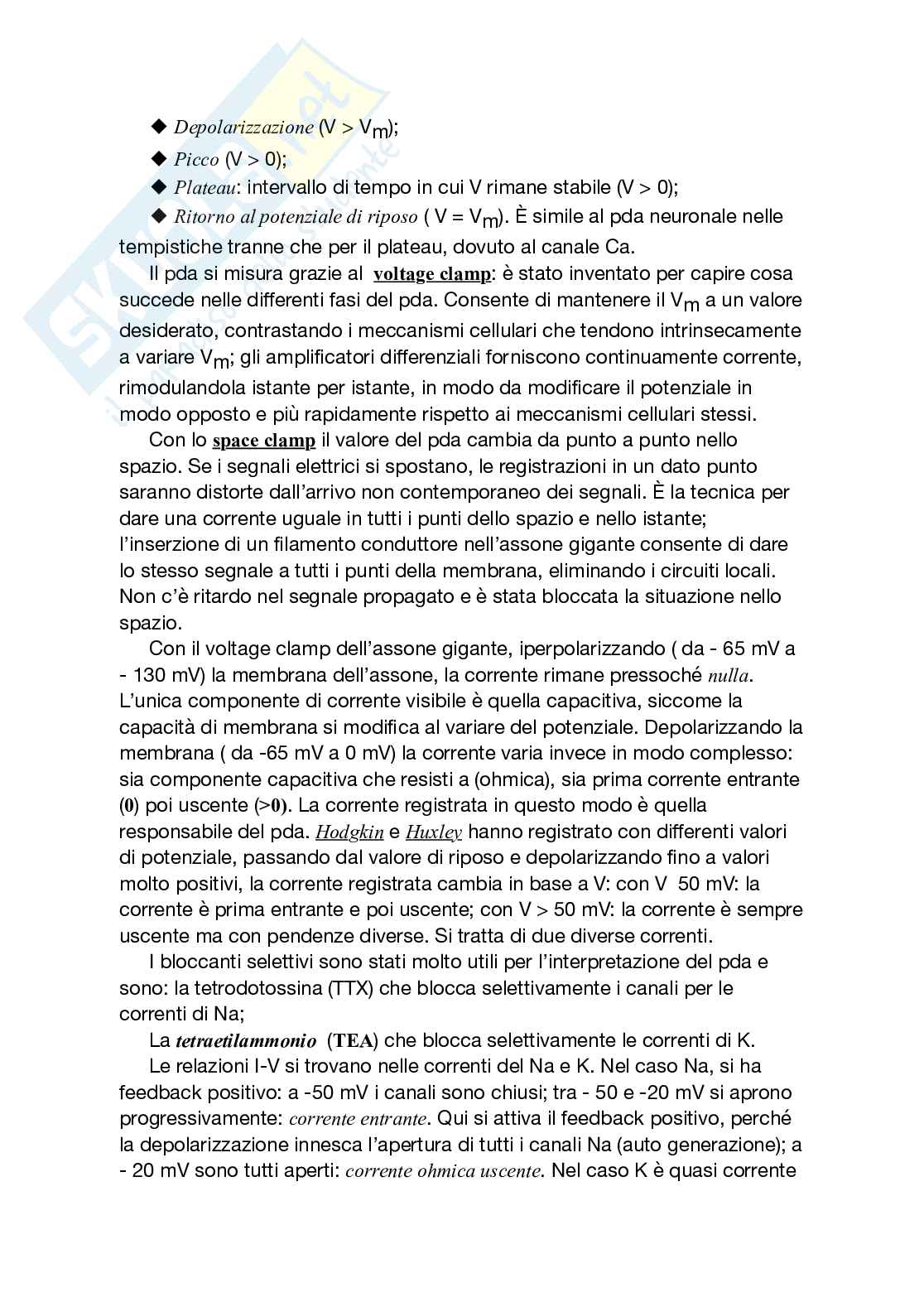 Riassunto esame Fisiologia cellulare, Prof. Palesi Fulvia, libro consigliato Fisiologia , Egidio D’Angelo  Pag. 26