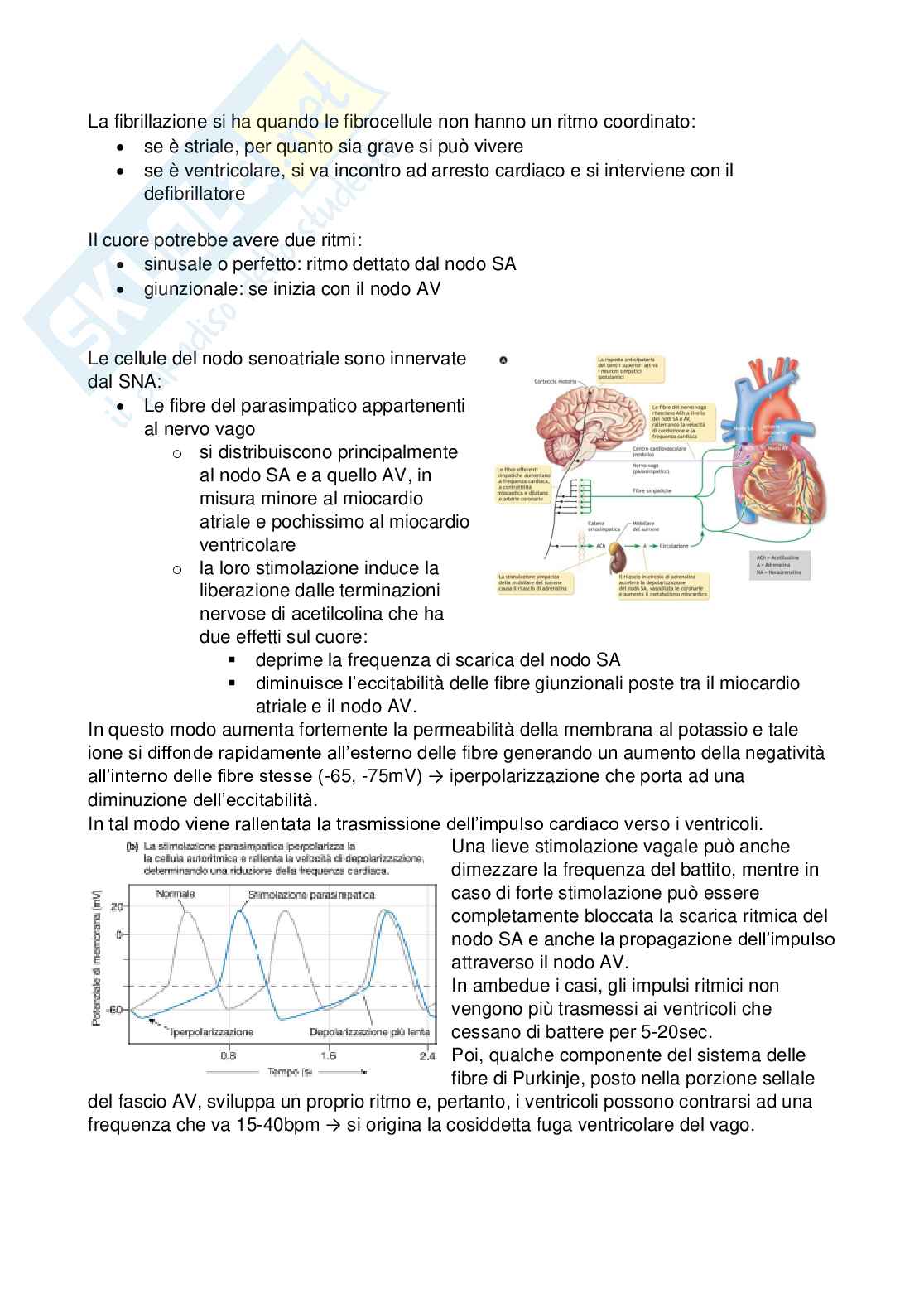 Fisiologia Pag. 46